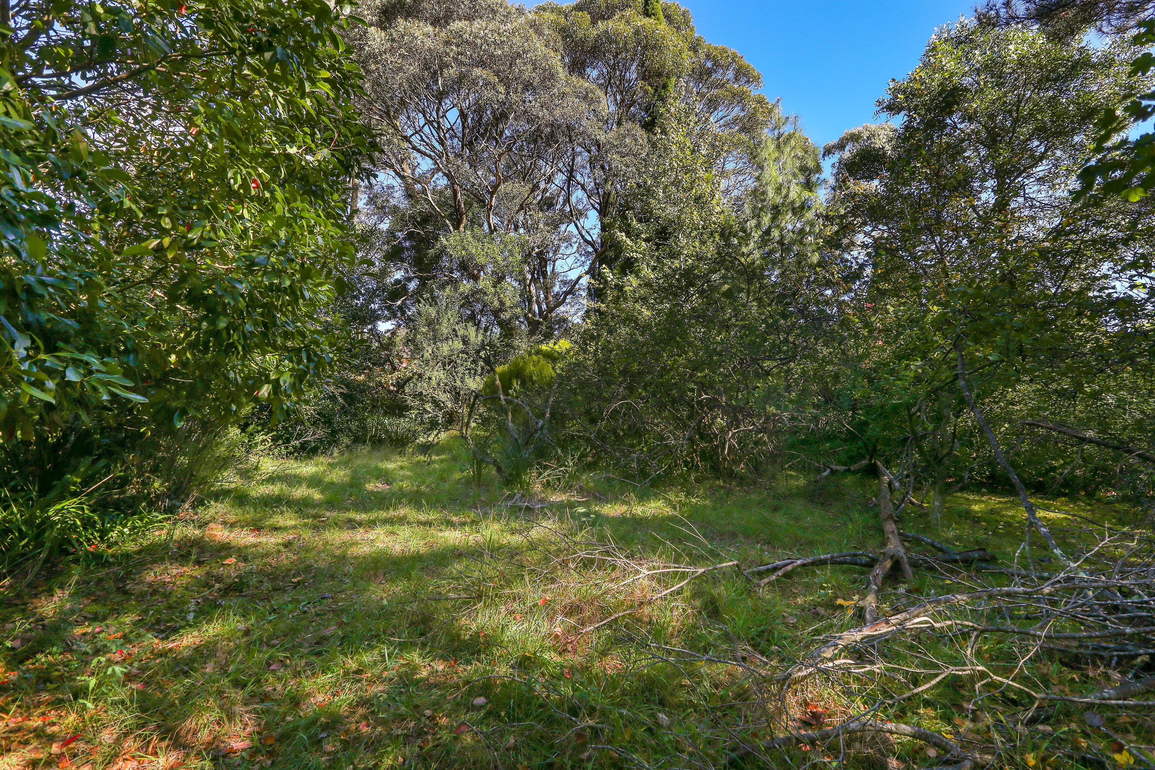 14 Sylvania Street, Mount Victoria NSW 2786, Mount Victoria - Image 1