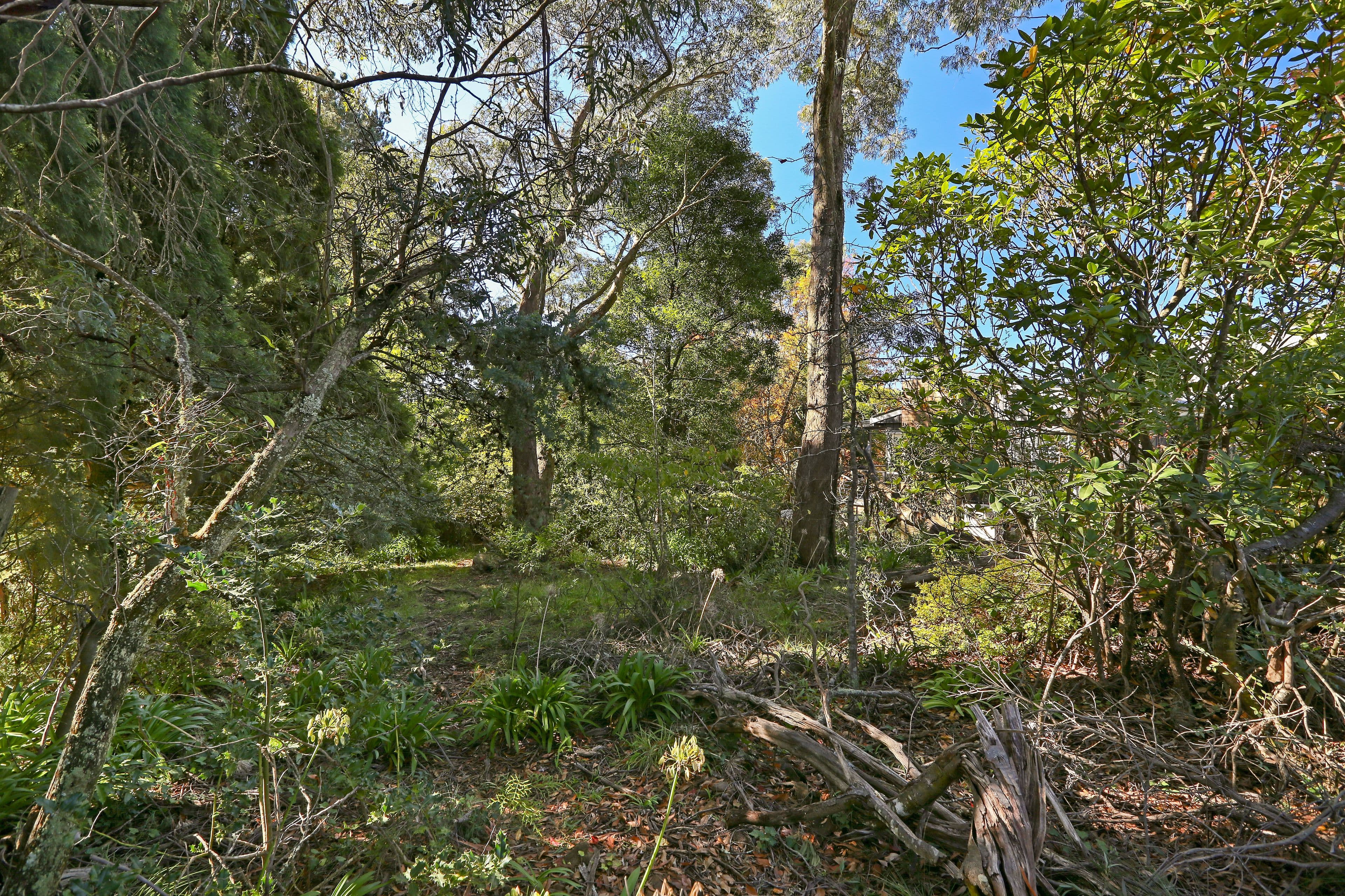 14 Sylvania Street, Mount Victoria NSW 2786, Mount Victoria - Thumbnail 2