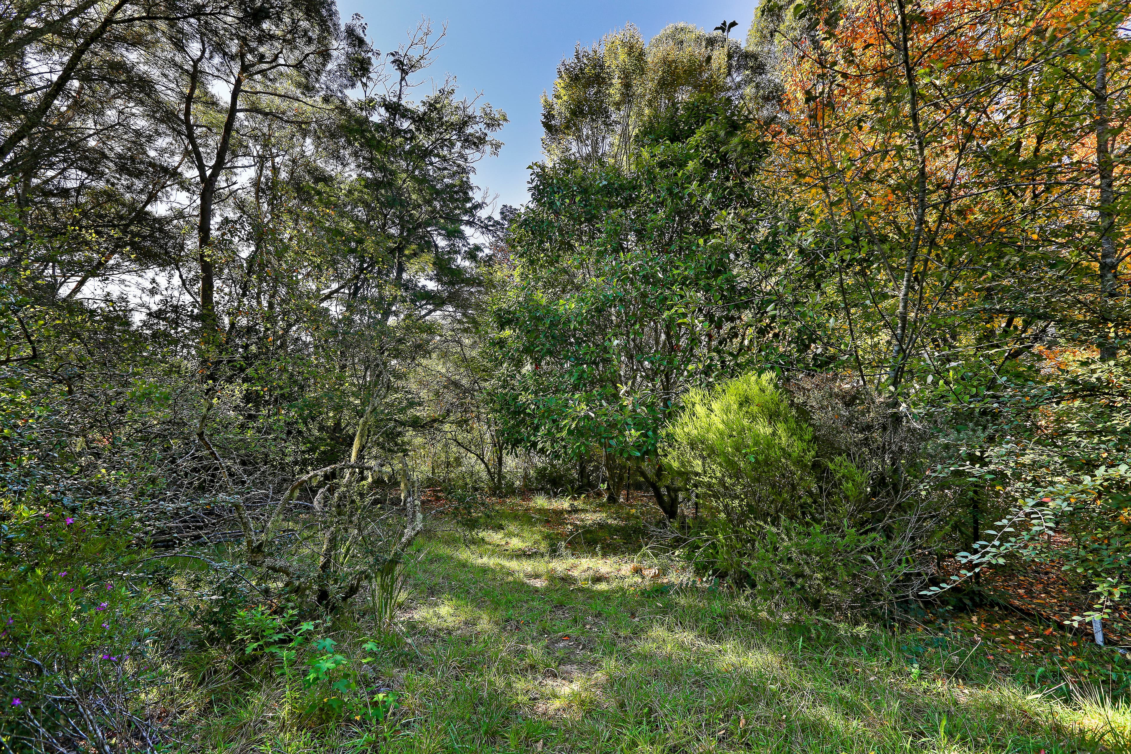 14 Sylvania Street, Mount Victoria NSW 2786, Mount Victoria - Thumbnail 3