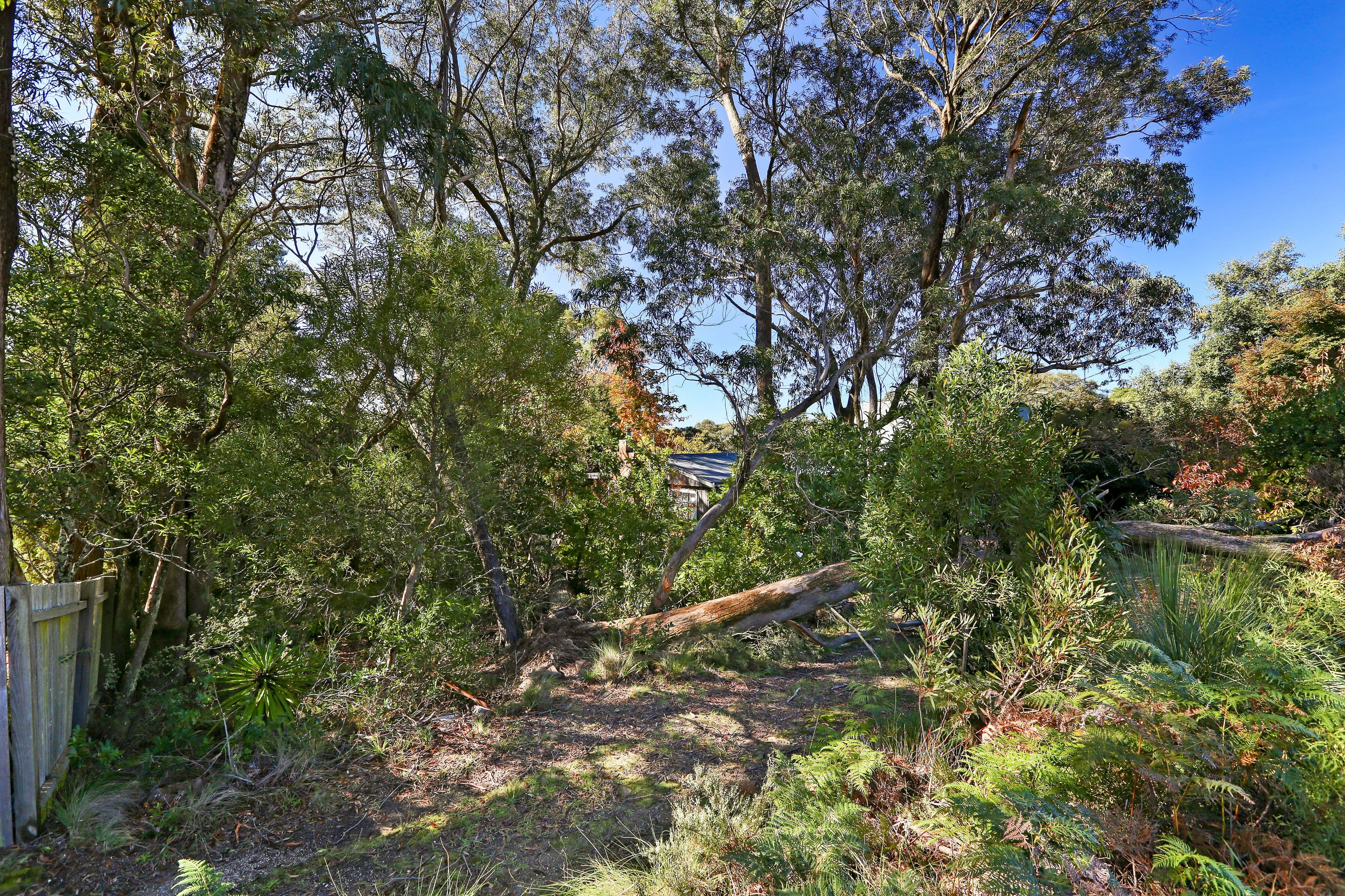 14 Sylvania Street, Mount Victoria NSW 2786, Mount Victoria - Thumbnail 4