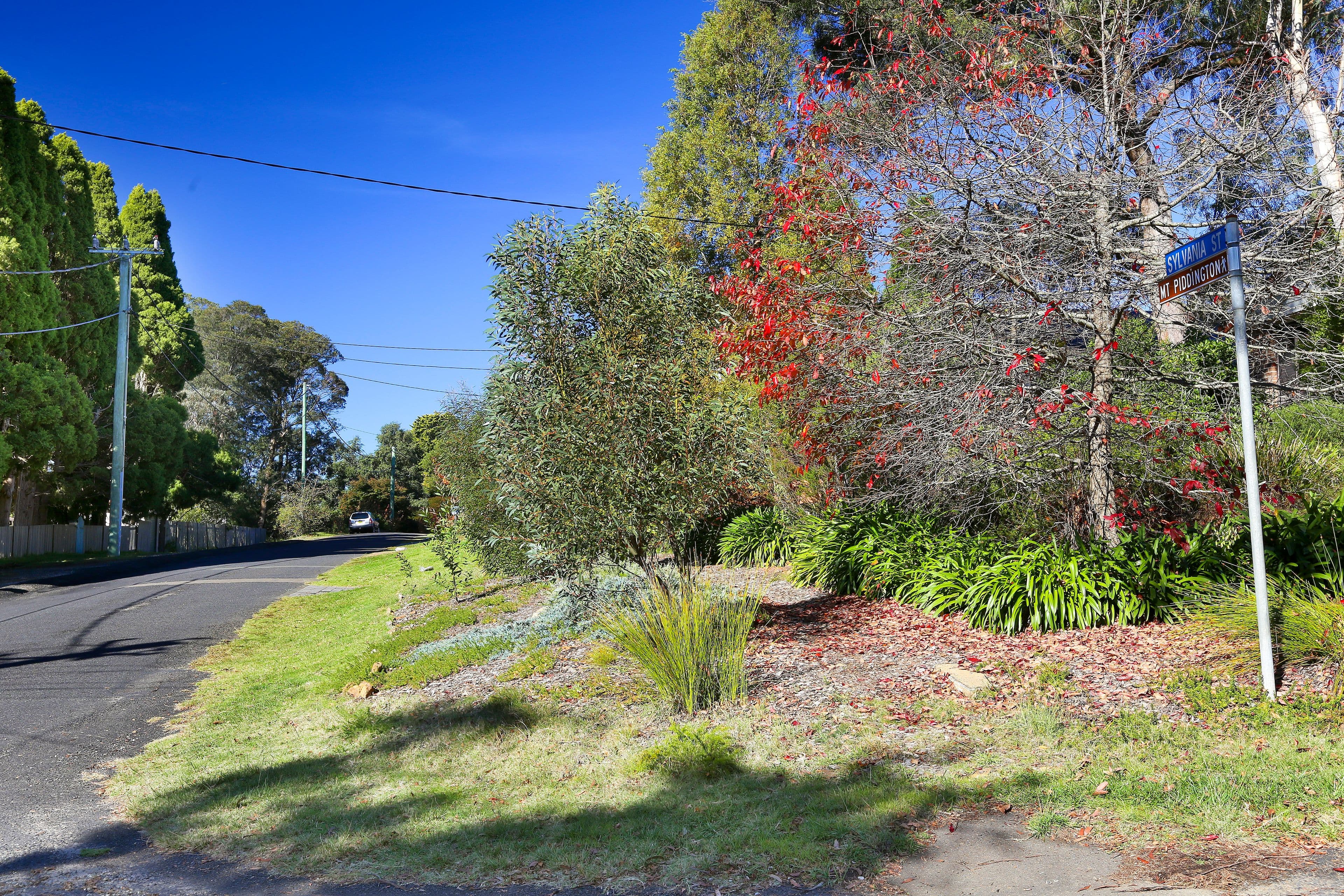 14 Sylvania Street, Mount Victoria NSW 2786, Mount Victoria - Thumbnail 5