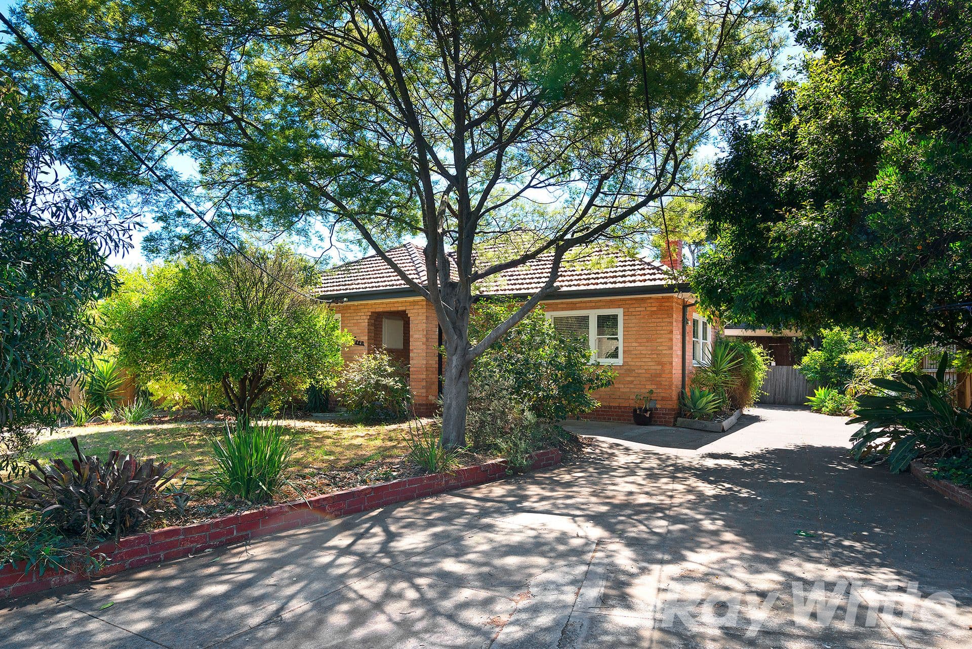 13 Barrett Street, Cheltenham VIC 3192, Cheltenham - Image 1