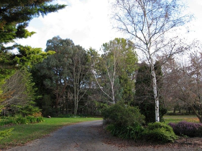 9 Wyoming Road, BYWONG NSW 2621, Bywong - Thumbnail 3