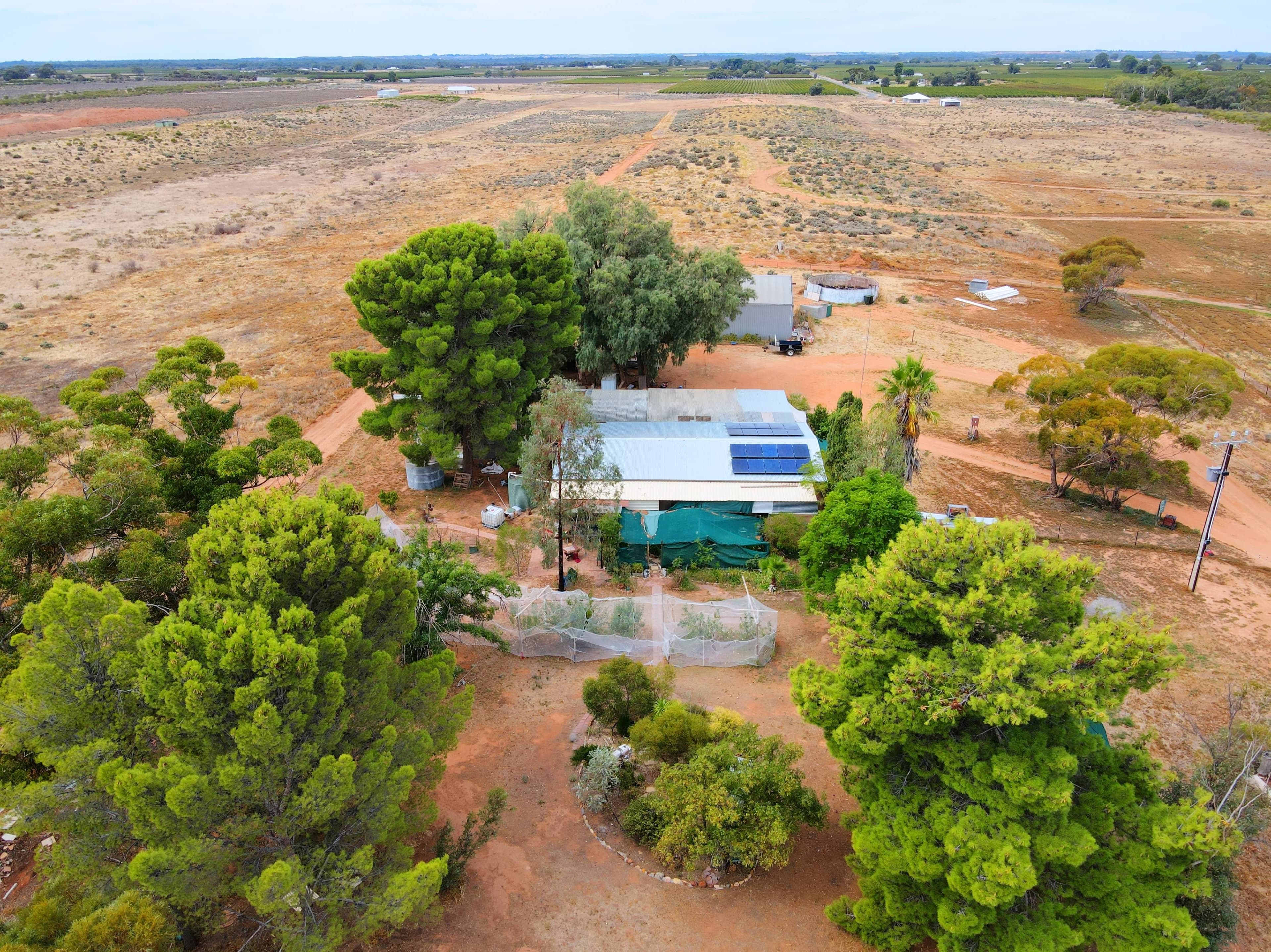 44 Wentworth-Renmark Road, Chaffey SA 5341, Chaffey - Thumbnail 2