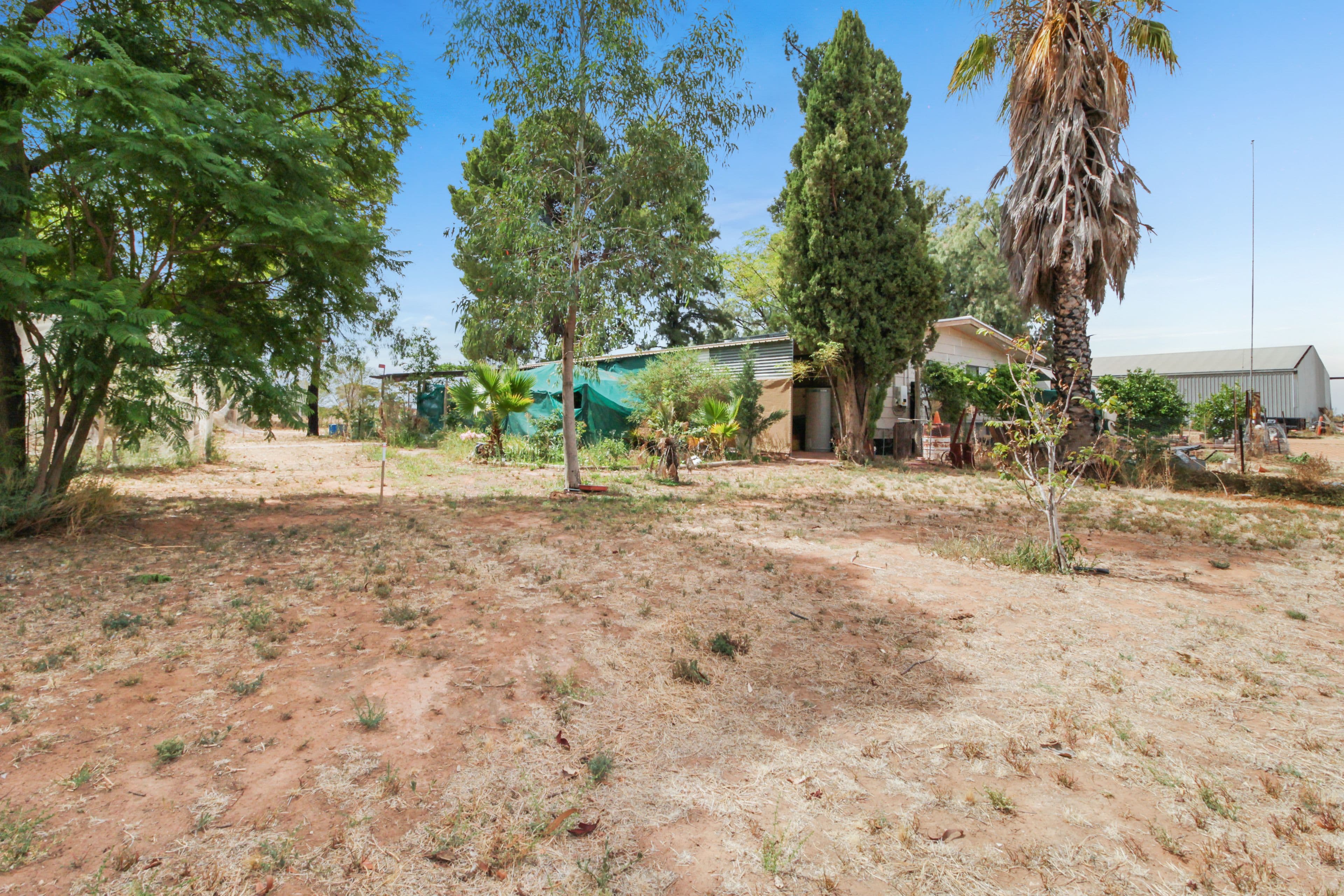 44 Wentworth-Renmark Road, Chaffey SA 5341, Chaffey - Thumbnail 4
