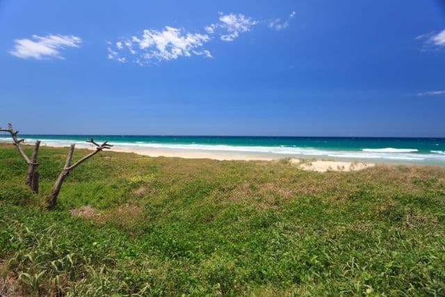 61 Hedges Avenue, MERMAID BEACH QLD 4218, Mermaid Beach - Thumbnail 8