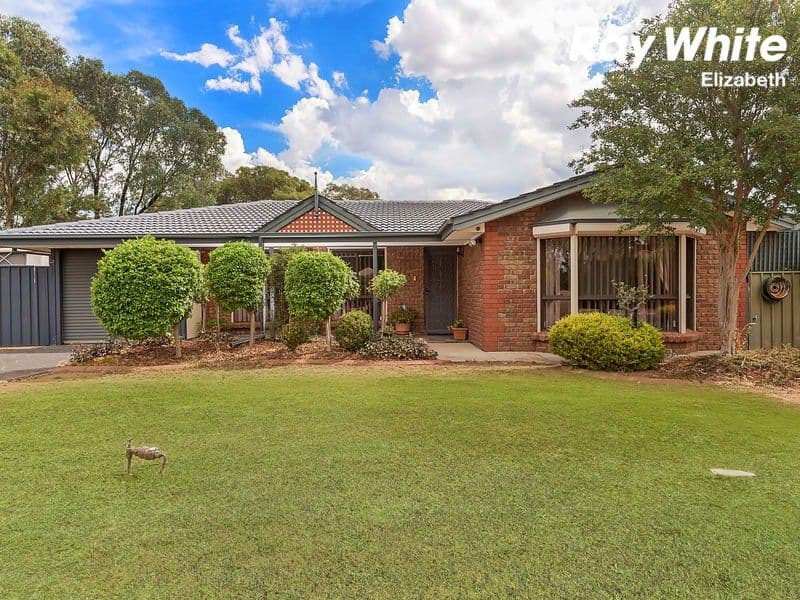 38 Roseworthy Drive, Andrews Farm SA 5114, Andrews Farm - Image 1