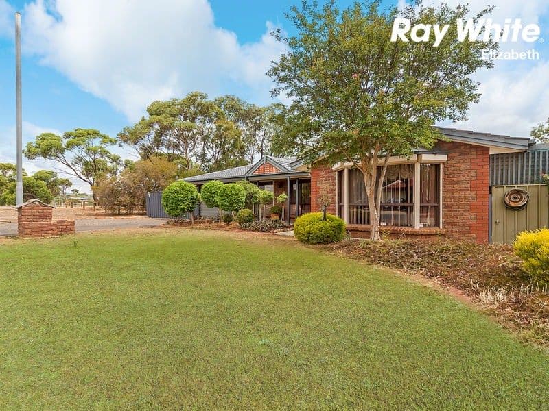 38 Roseworthy Drive, Andrews Farm SA 5114, Andrews Farm - Thumbnail 3