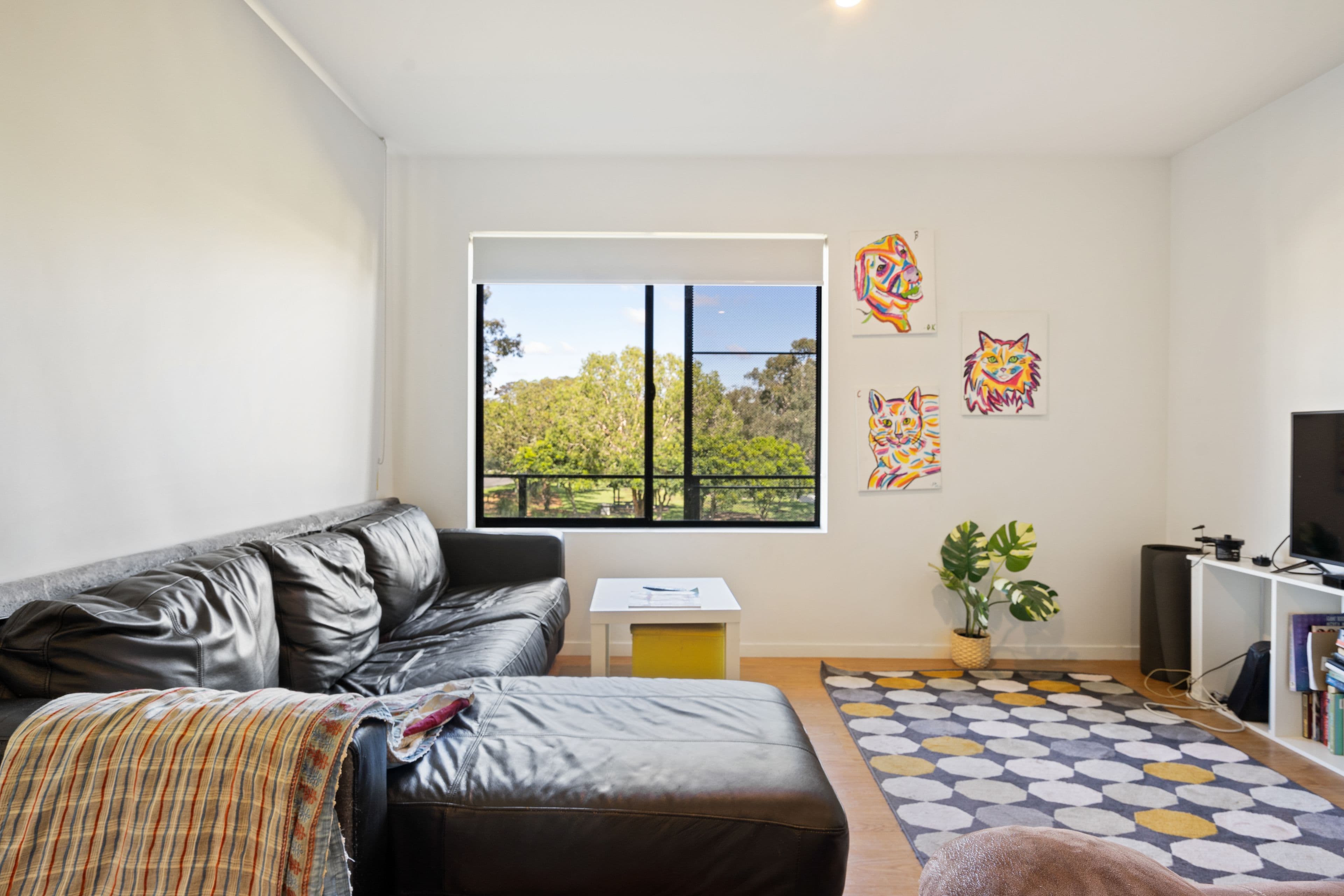 37 Norman Drive, Chermside QLD 4032, Chermside - Thumbnail 8
