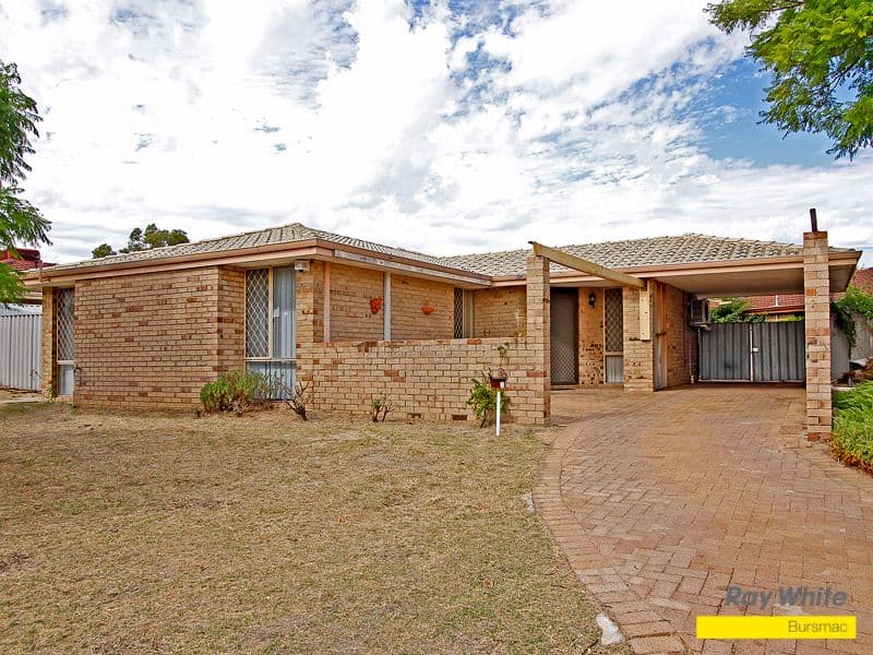 1 Wills Court, MIRRABOOKA WA 6061, Mirrabooka - Thumbnail 2