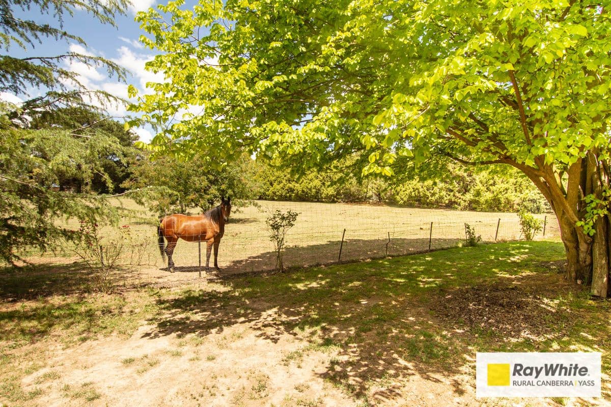 3 Vallance Drive, Murrumbateman - Thumbnail 4