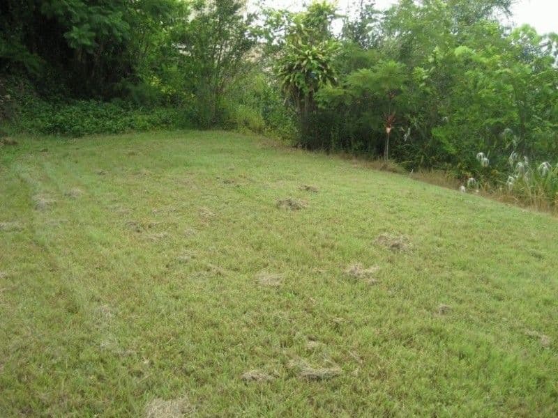 25 Langside Road, HAMILTON QLD 4007, Hamilton - Thumbnail 3