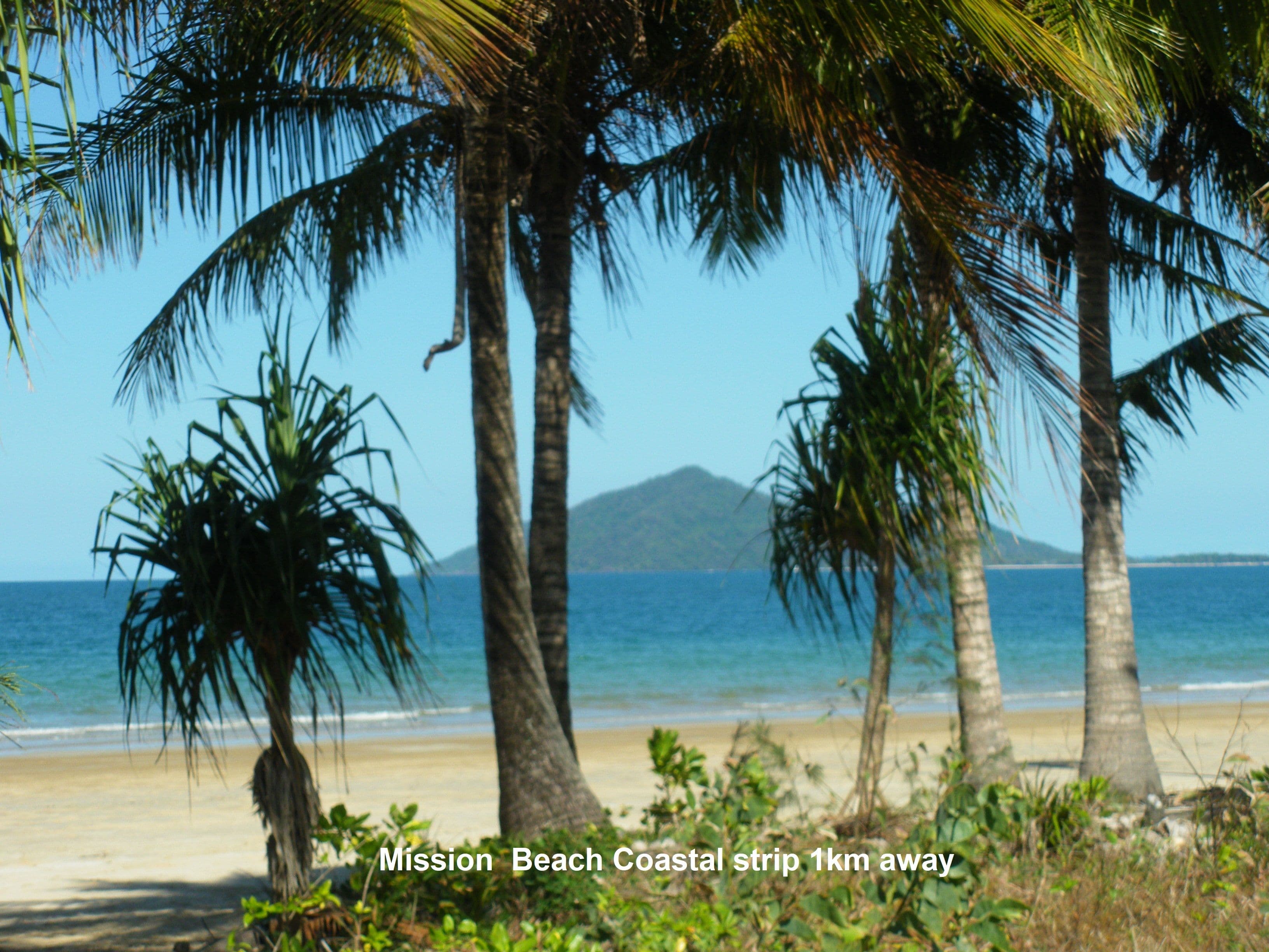 52 Shelly Court, Mission Beach QLD 4852, Mission Beach - Thumbnail 4