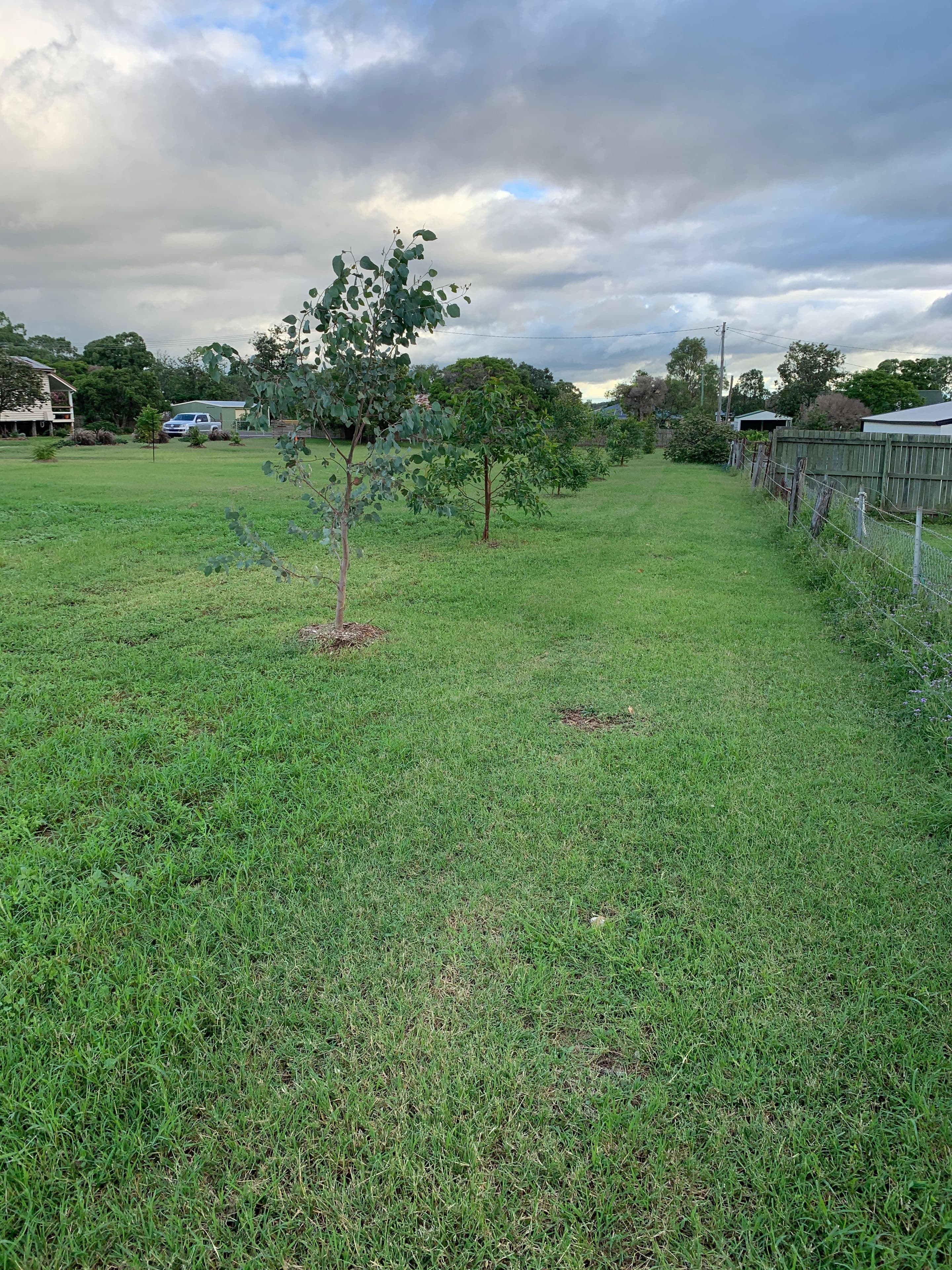 13 Market Street, Goombungee QLD 4354, Goombungee - Thumbnail 4