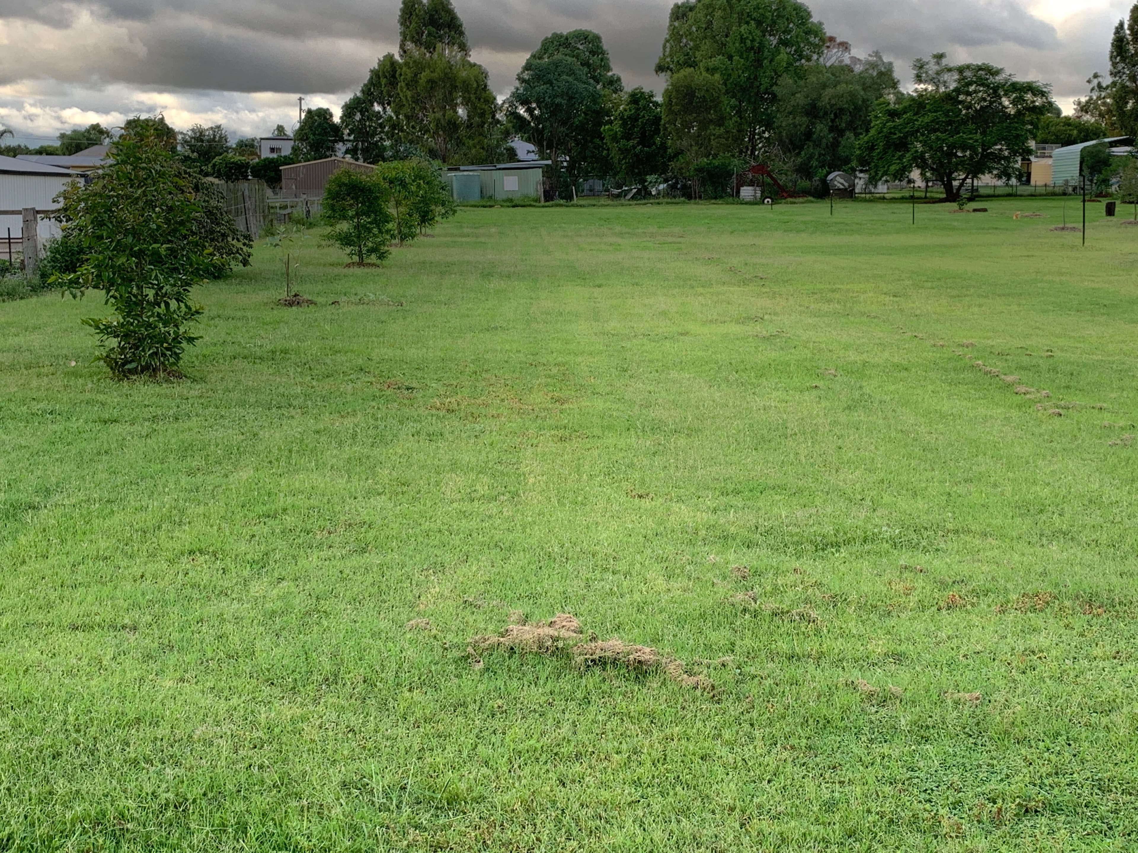 13 Market Street, Goombungee QLD 4354, Goombungee - Thumbnail 5