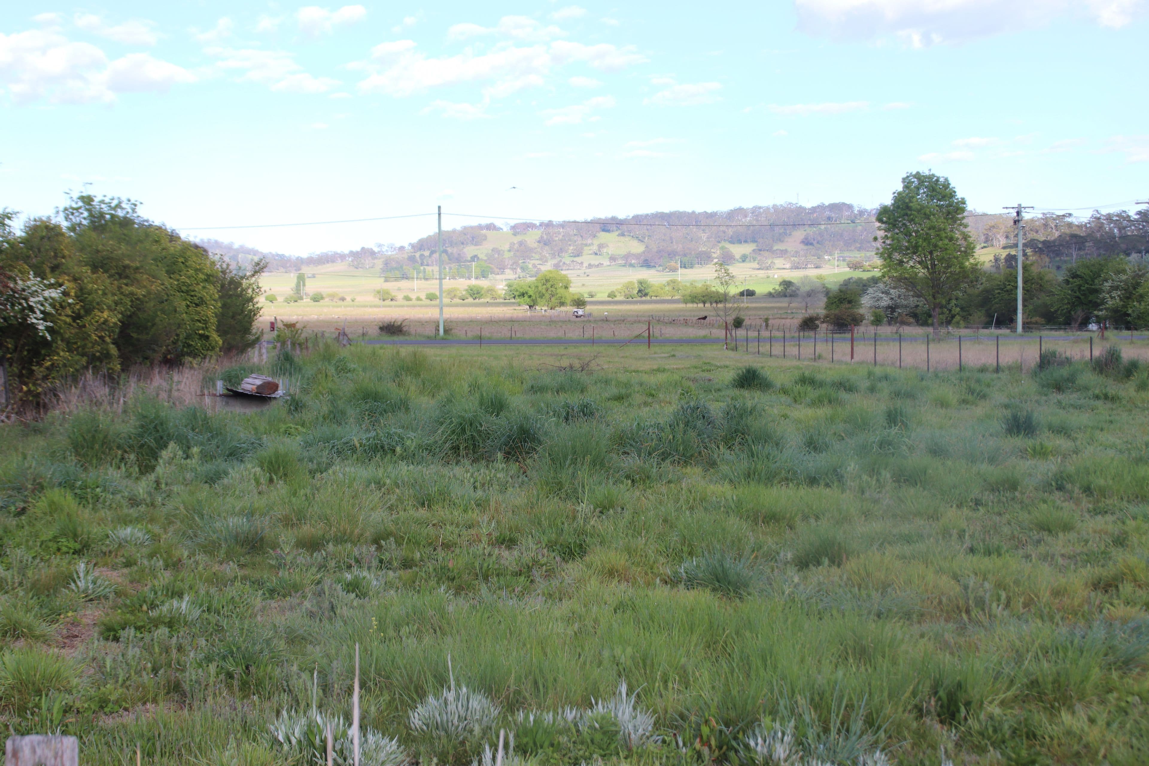 169 Derby, Glen Innes NSW 2370, Glen Innes - Image 1