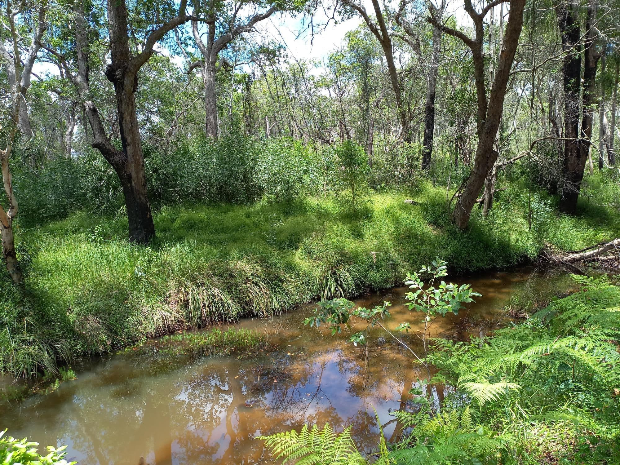 Mitchell Road, Mount Maria QLD 4674, Mount Maria - Image 1