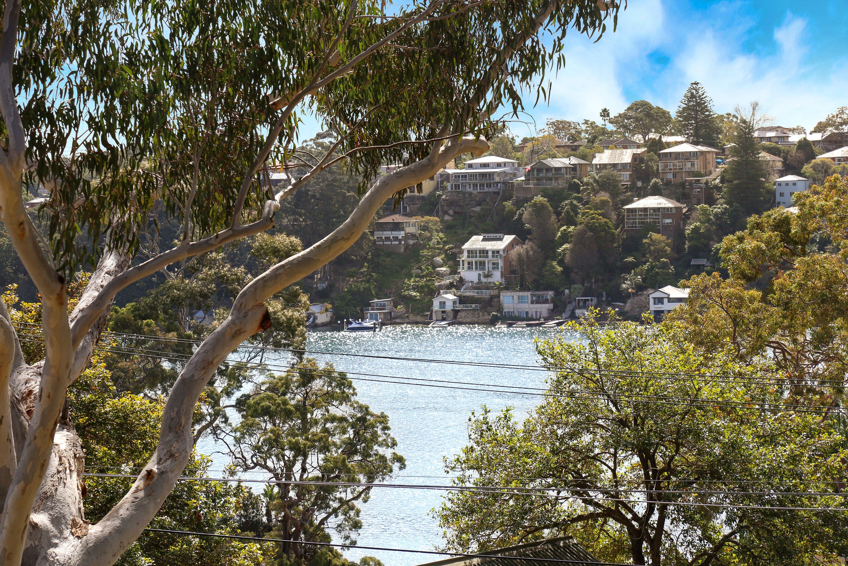 8 Juvenis Avenue, Oyster Bay - Thumbnail 3