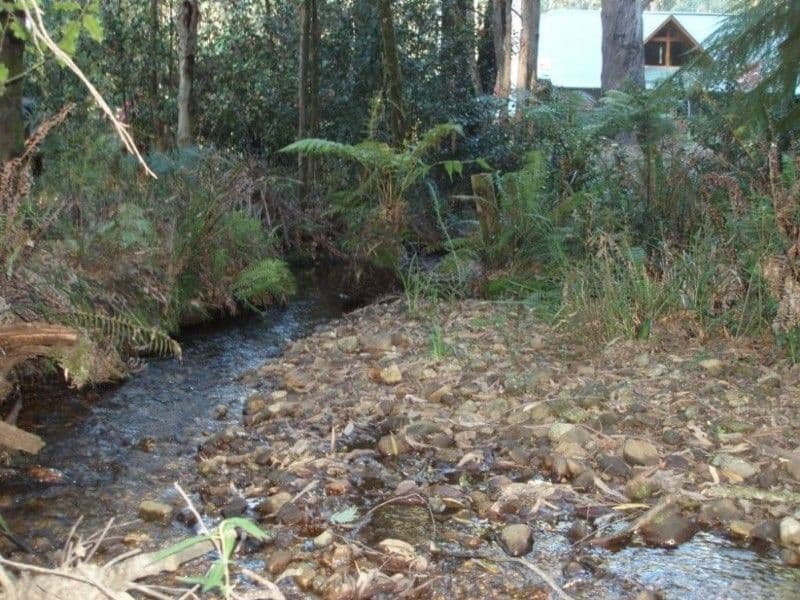 NARBETHONG VIC 3778, Narbethong - Thumbnail 4