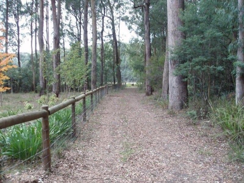 NARBETHONG VIC 3778, Narbethong - Thumbnail 7