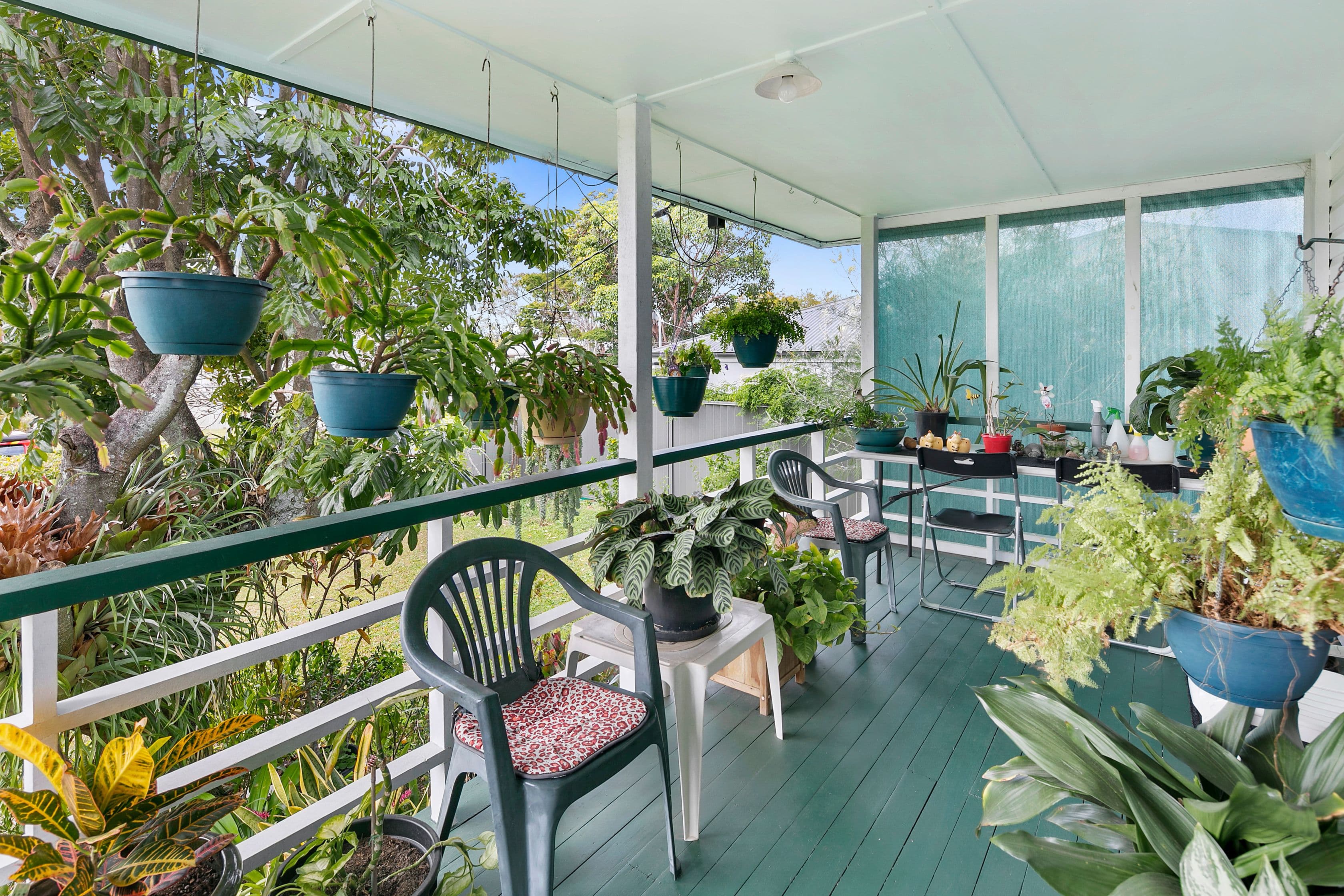 20 Bushing Street, Wynnum West QLD 4178, Wynnum West - Thumbnail 2