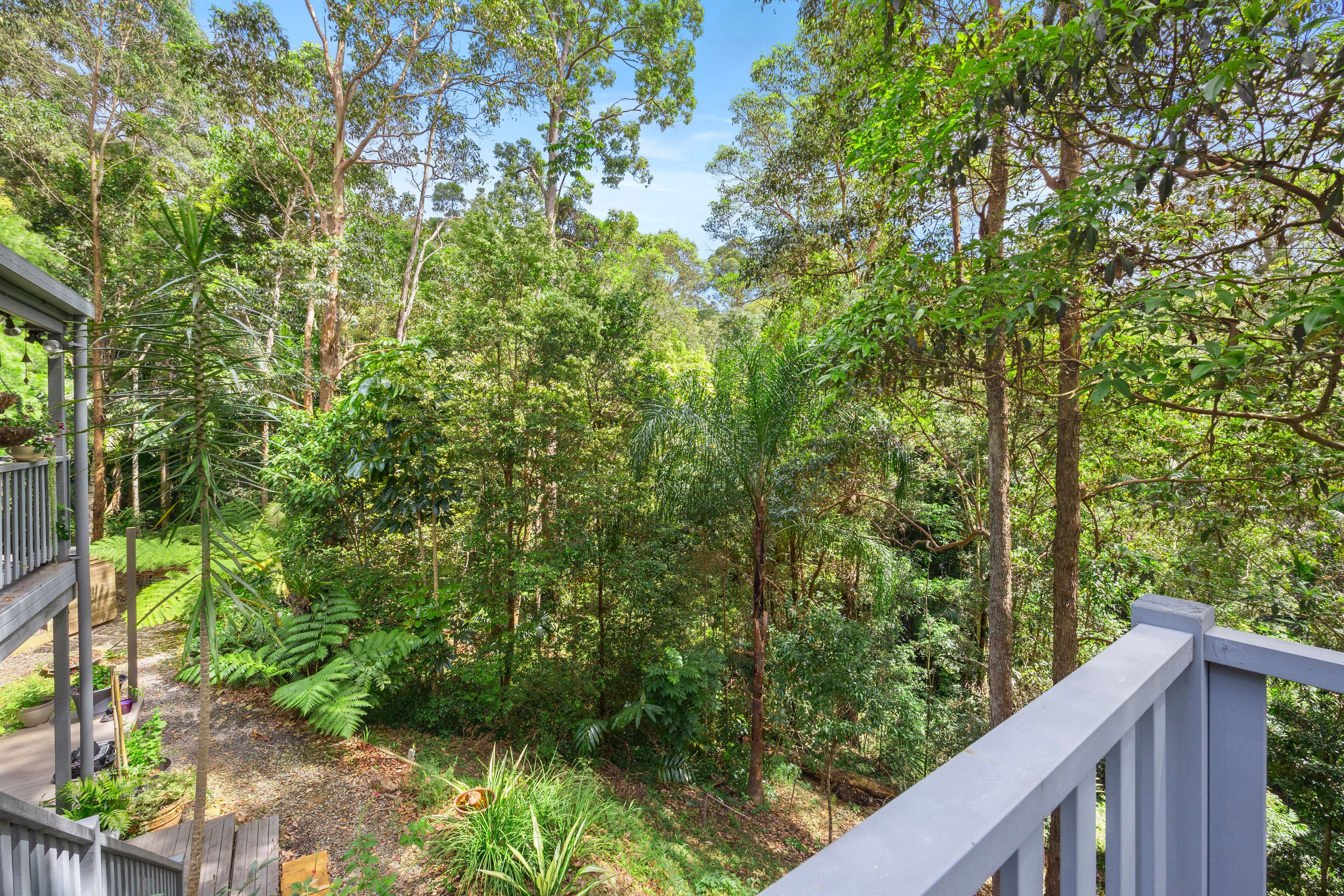 30 Palana Court, Buderim QLD 4556, Buderim - Thumbnail 6