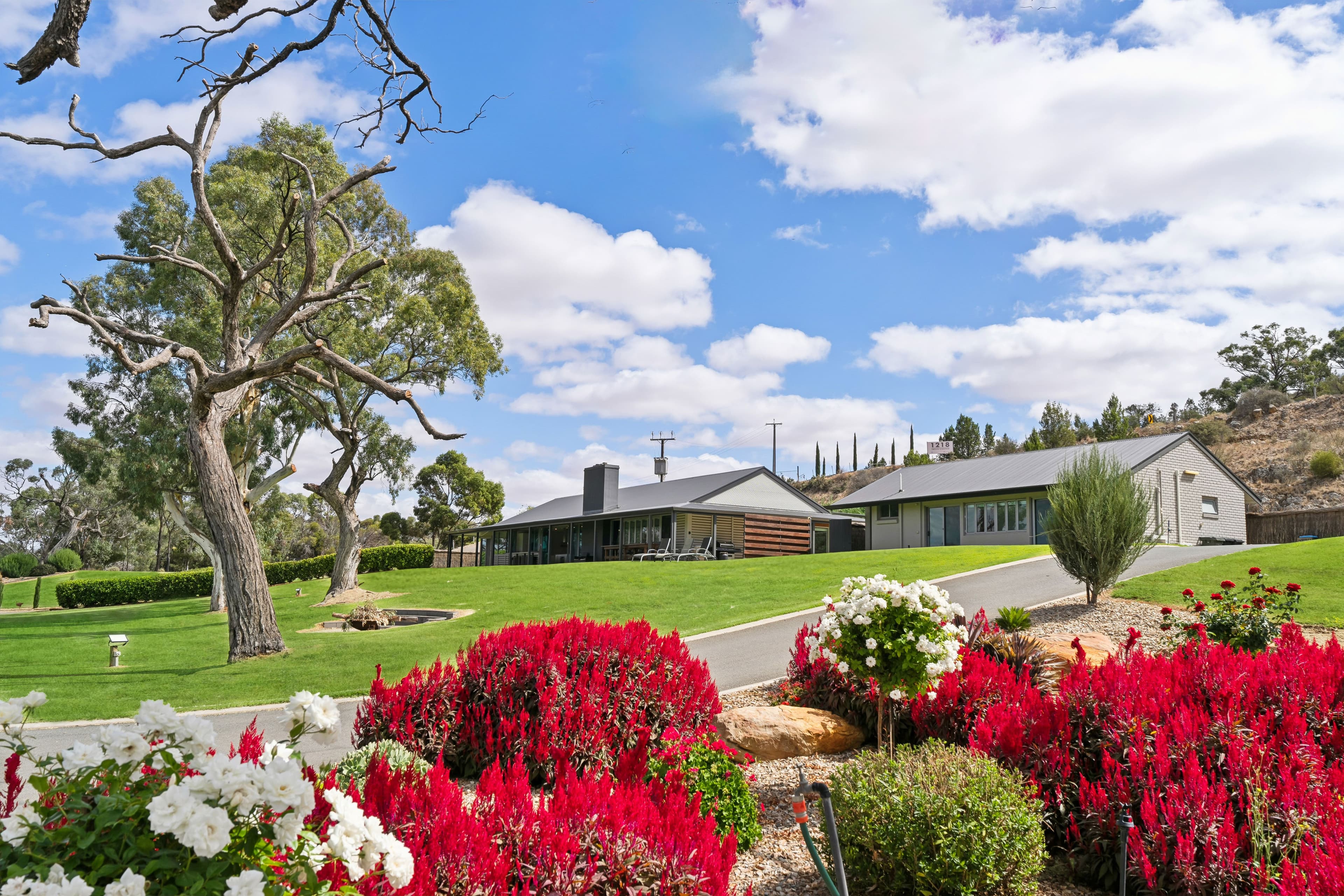 1218 Purnong Road, Mannum SA 5238, Mannum - Thumbnail 3