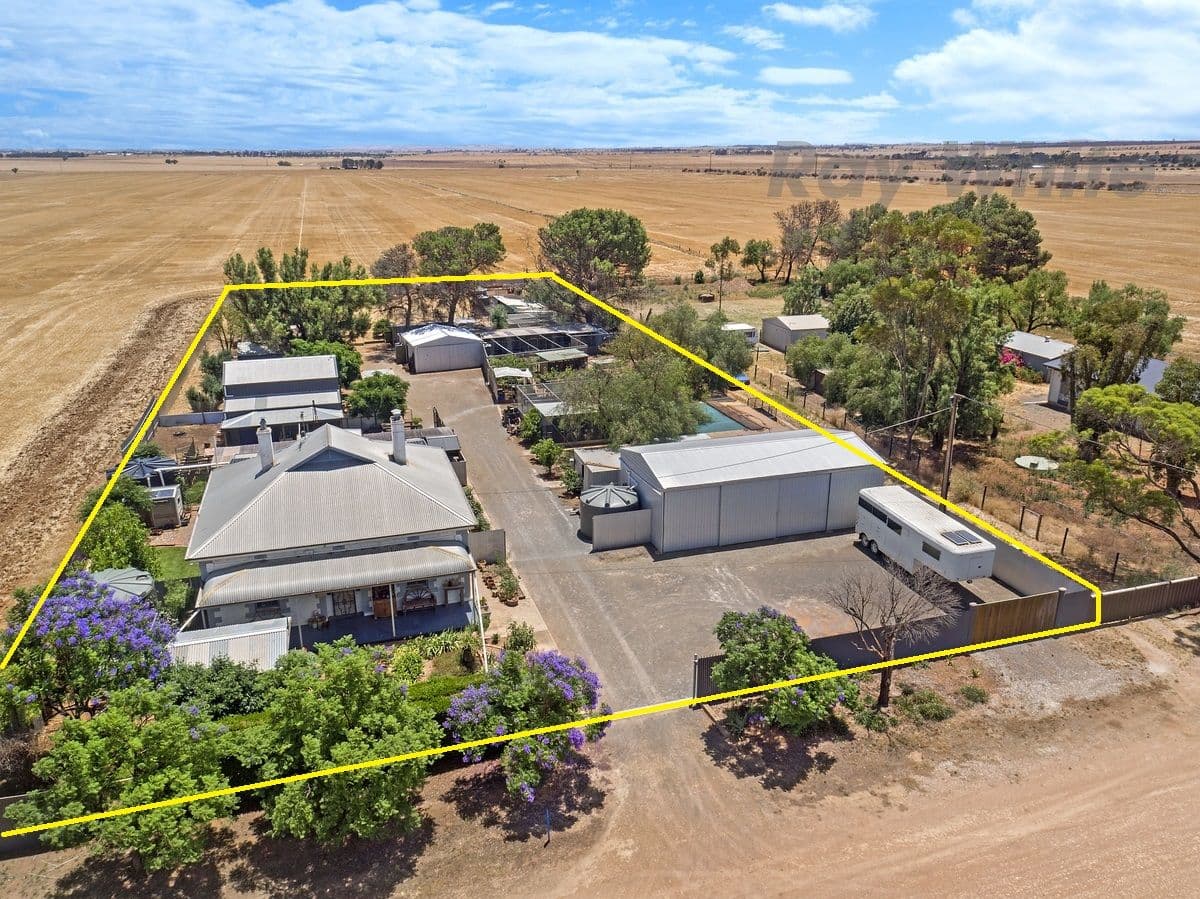 Lot 387 Lines Road, Wasleys SA 5400, Wasleys - Image 1