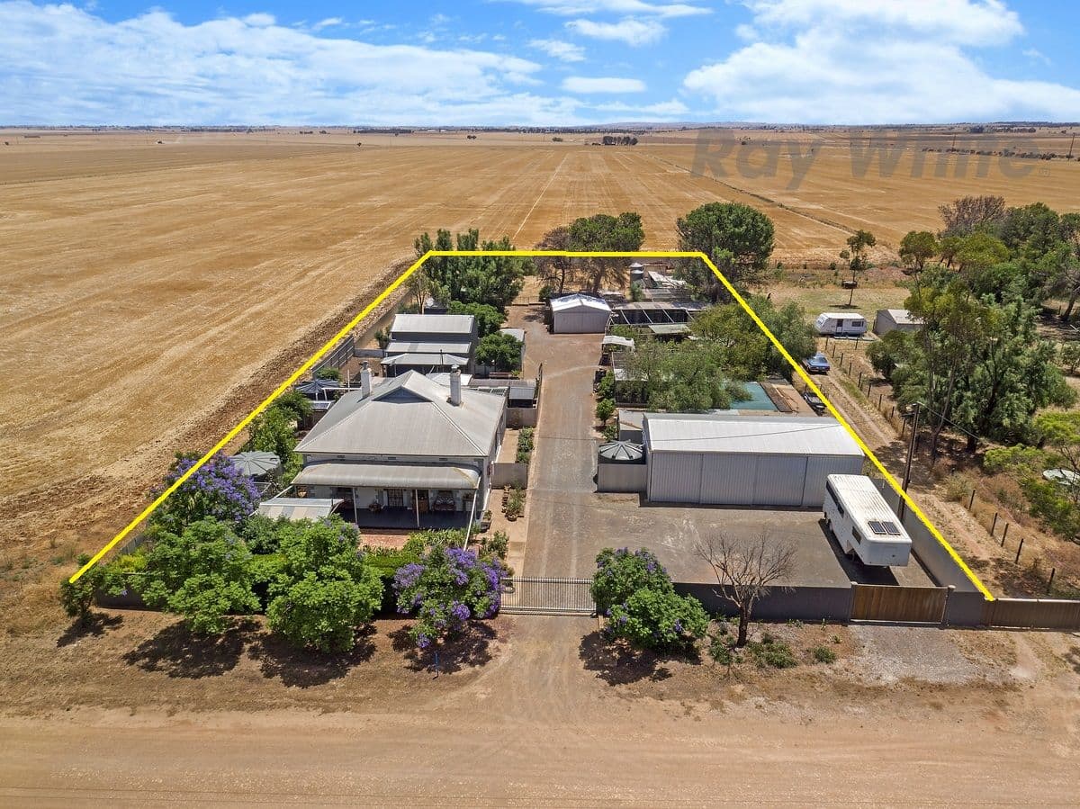 Lot 387 Lines Road, Wasleys SA 5400, Wasleys - Thumbnail 2