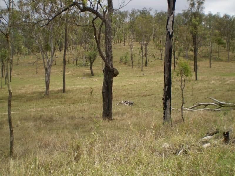 19 Palana Drive, Alexandra Hills, QLD, 4161, Alexandra Hills - Thumbnail 2