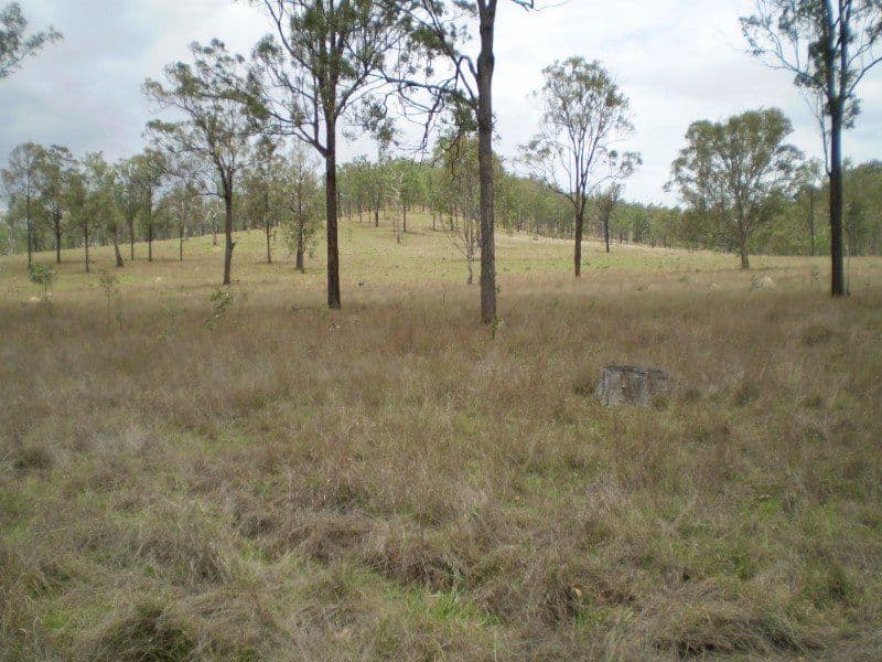 19 Palana Drive, Alexandra Hills, QLD, 4161, Alexandra Hills - Thumbnail 5