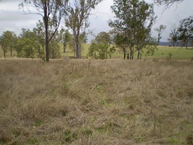19 Palana Drive, Alexandra Hills, QLD, 4161, Alexandra Hills - Thumbnail 6