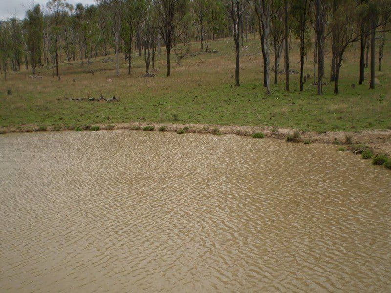 19 Palana Drive, Alexandra Hills, QLD, 4161, Alexandra Hills - Thumbnail 8