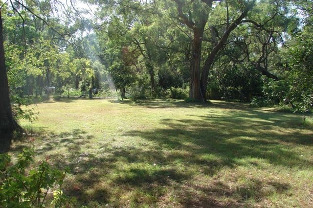 745 Castlereagh Road, CASTLEREAGH NSW 2749, Castlereagh - Thumbnail 7