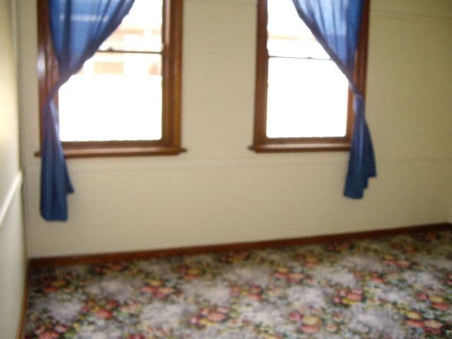 15 Pascoe Street, ECHUCA VIC 3564, Echuca - Thumbnail 4