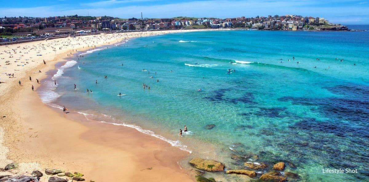 151-153 Blair Street, North Bondi NSW 2026, North Bondi - Thumbnail 2