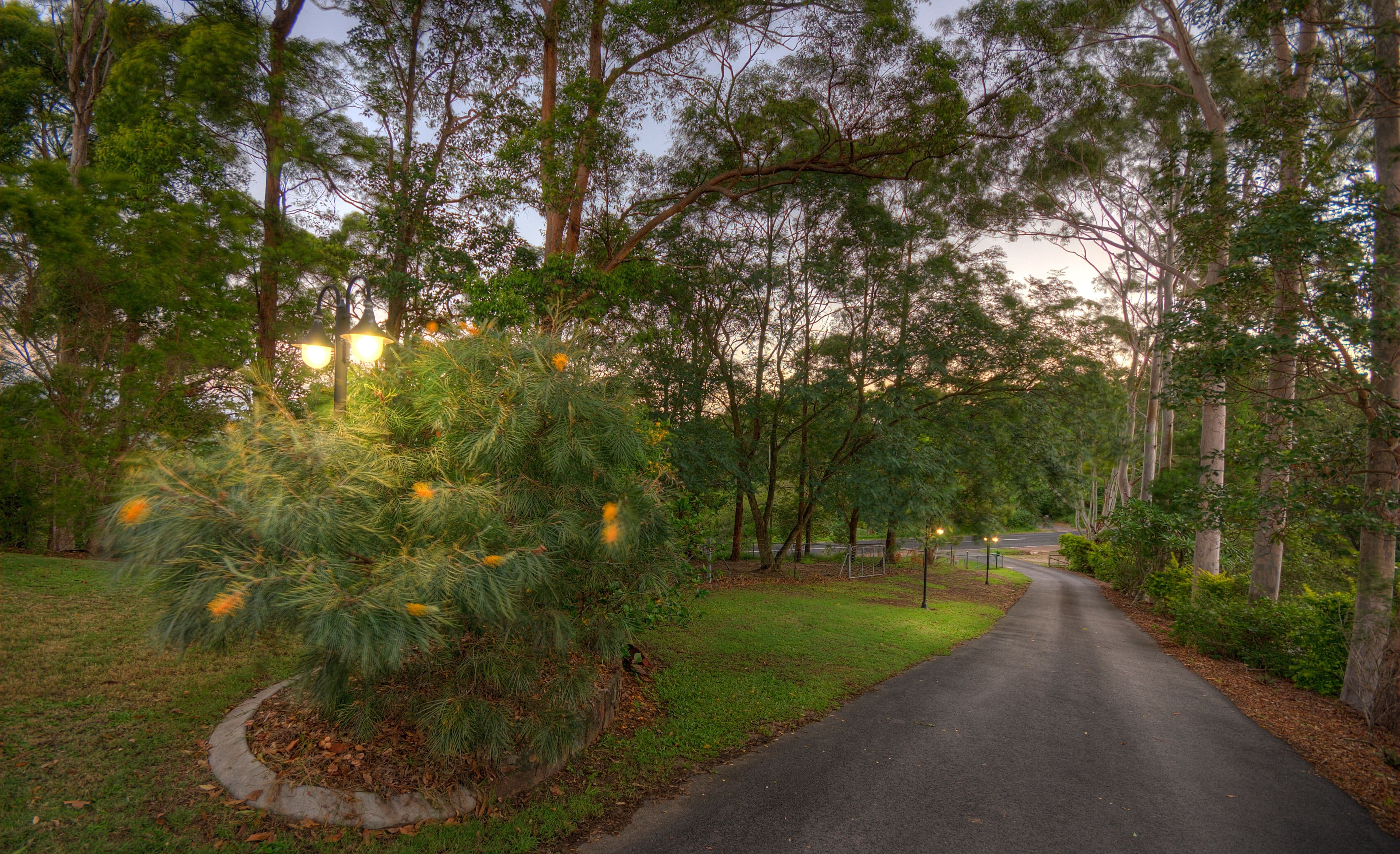 485 Kiel Mountain Road, Diddillibah QLD 4559, Diddillibah - Thumbnail 5