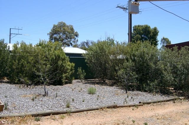 51 Zante Road, BERRI SA 5343, Berri - Thumbnail 7