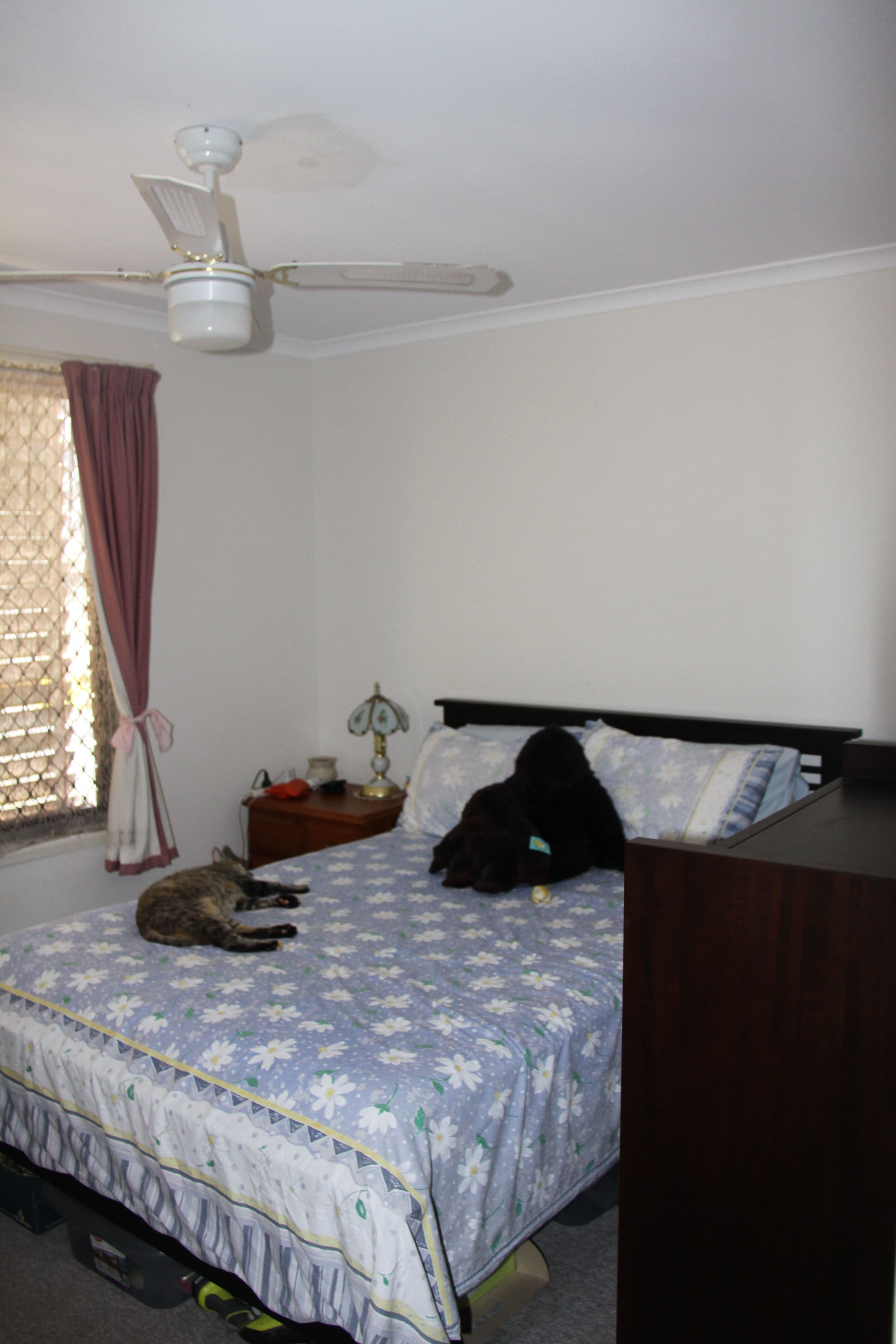 93 Booth Avenue, Tannum Sands QLD 4680, Tannum Sands - Thumbnail 8