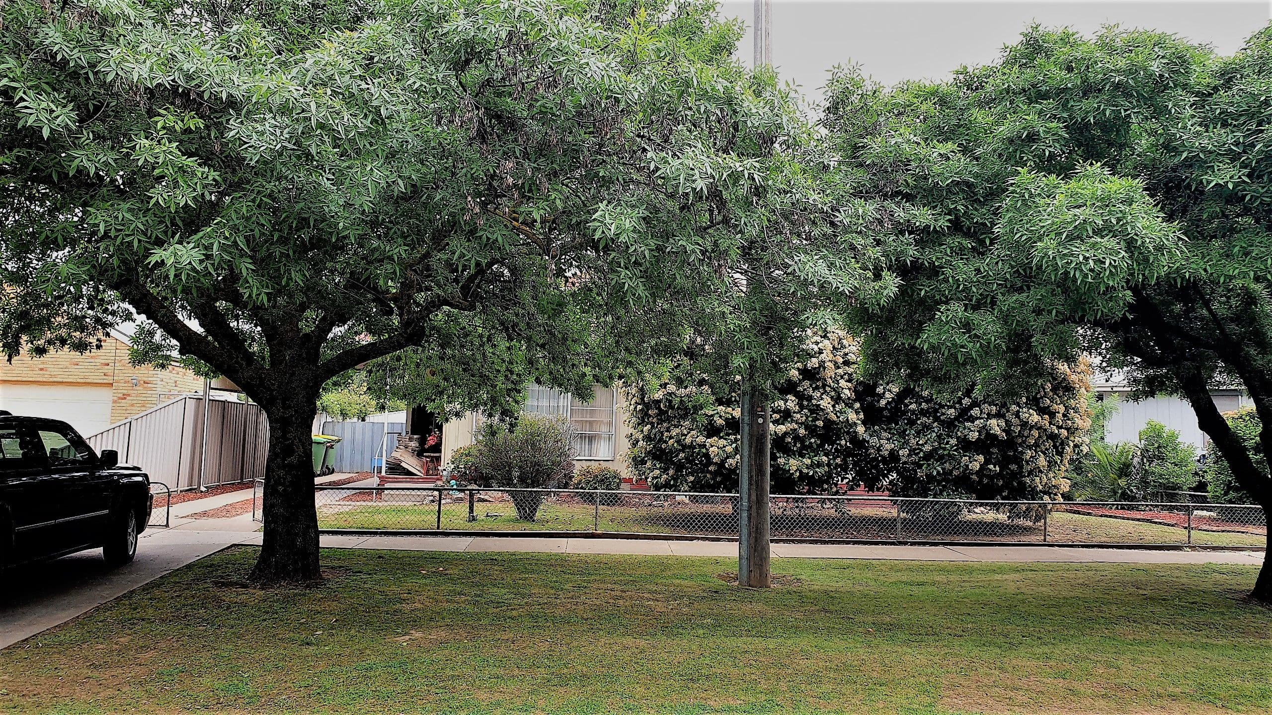 86 Ramsay Street, Rochester VIC 3561, Rochester - Thumbnail 4