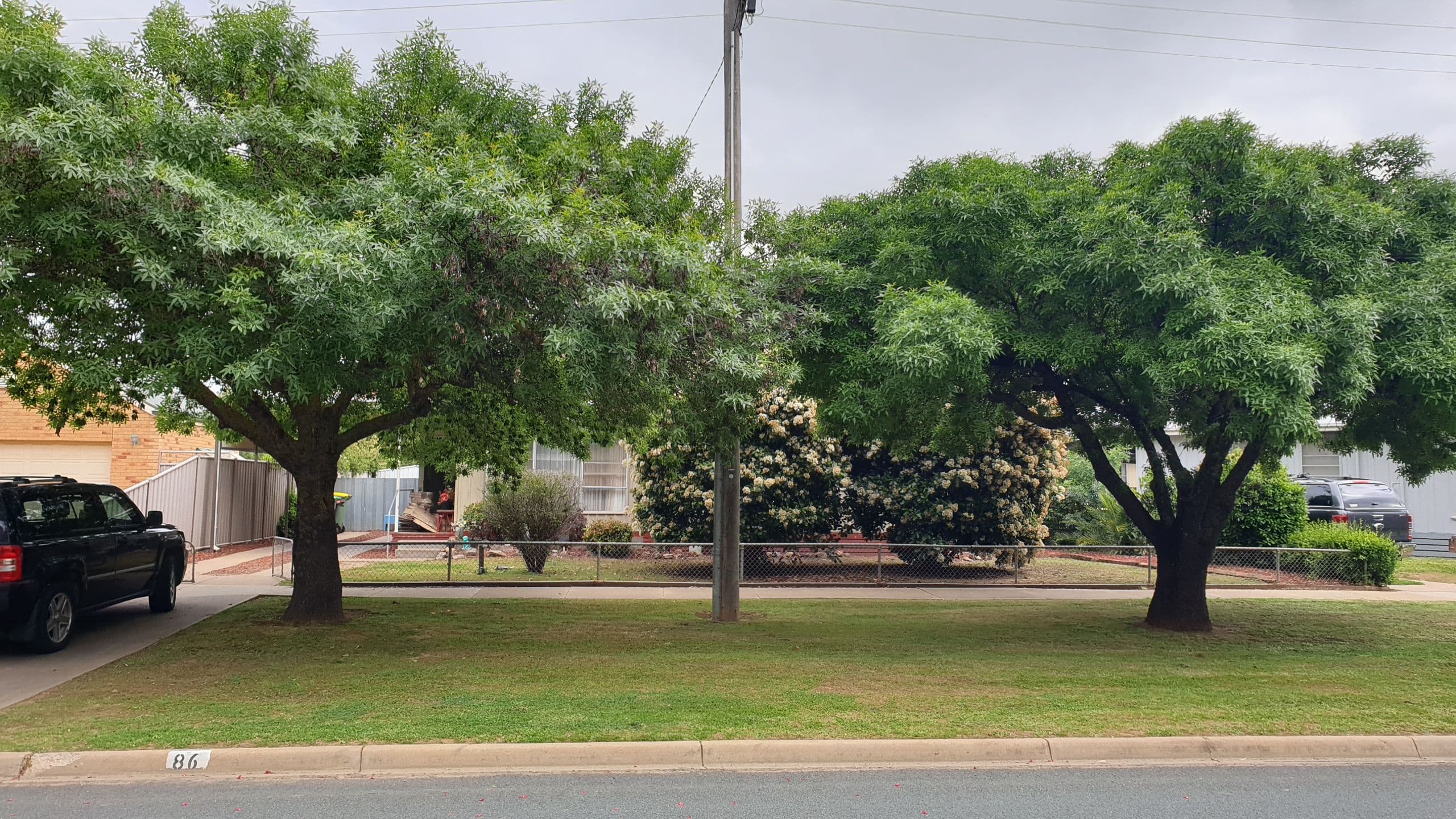86 Ramsay Street, Rochester VIC 3561, Rochester - Thumbnail 5