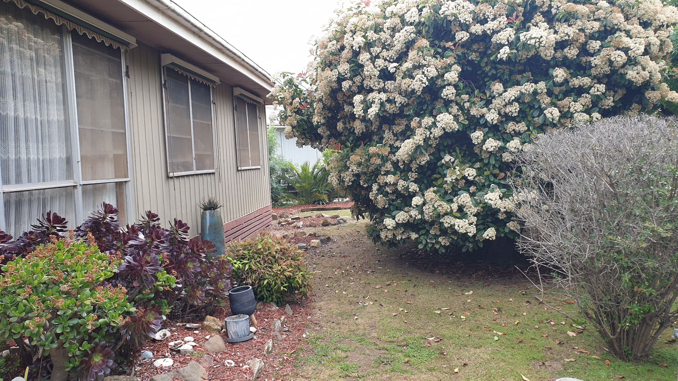 86 Ramsay Street, Rochester VIC 3561, Rochester - Thumbnail 6
