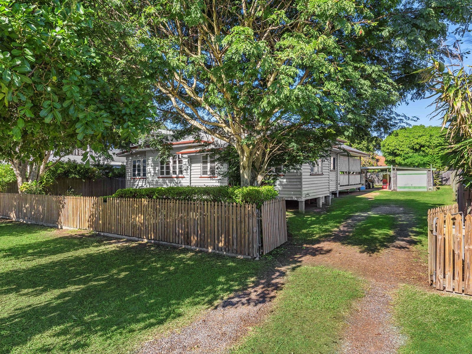 43 Larwill Avenue, Northgate QLD 4013, Northgate - Thumbnail 5