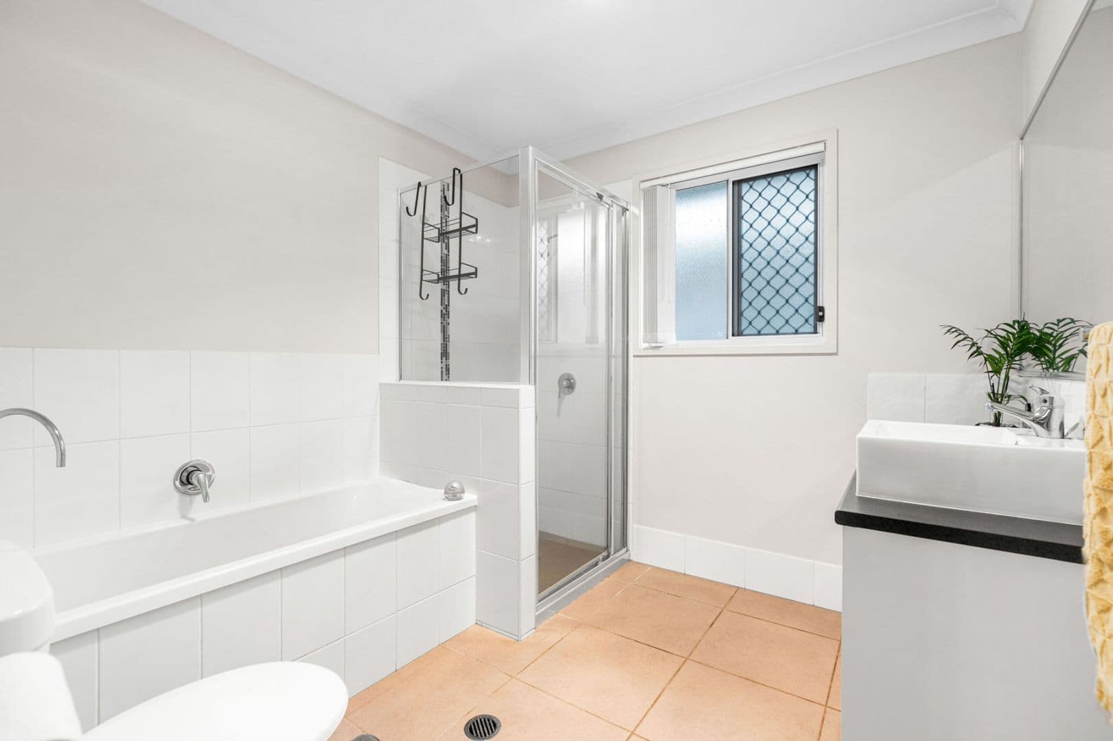 223a Preston Road, Wynnum West QLD 4178, Wynnum West - Thumbnail 6
