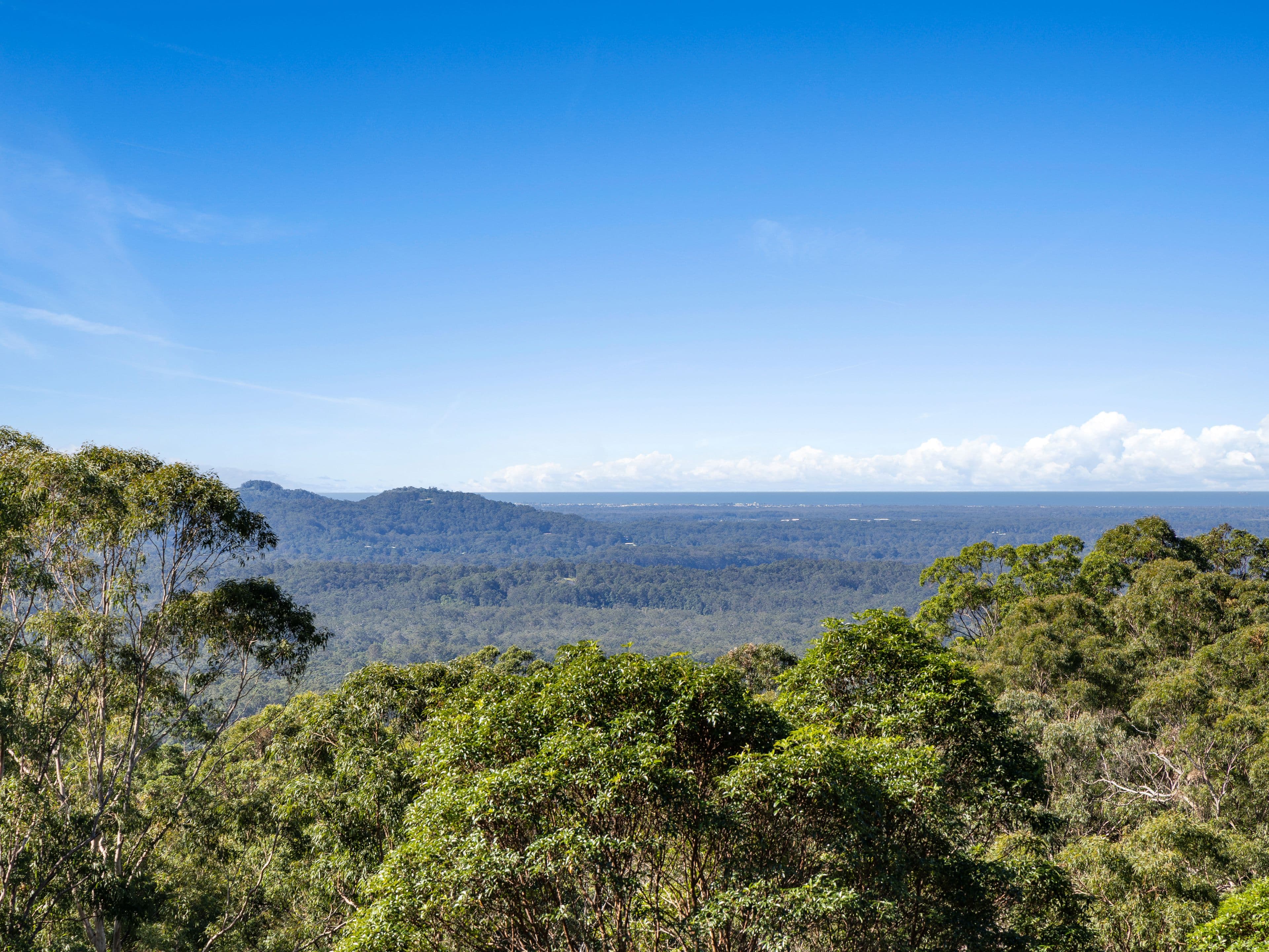 261 Mount Mellum Road, Mount Mellum QLD 4550, Mount Mellum - Thumbnail 2