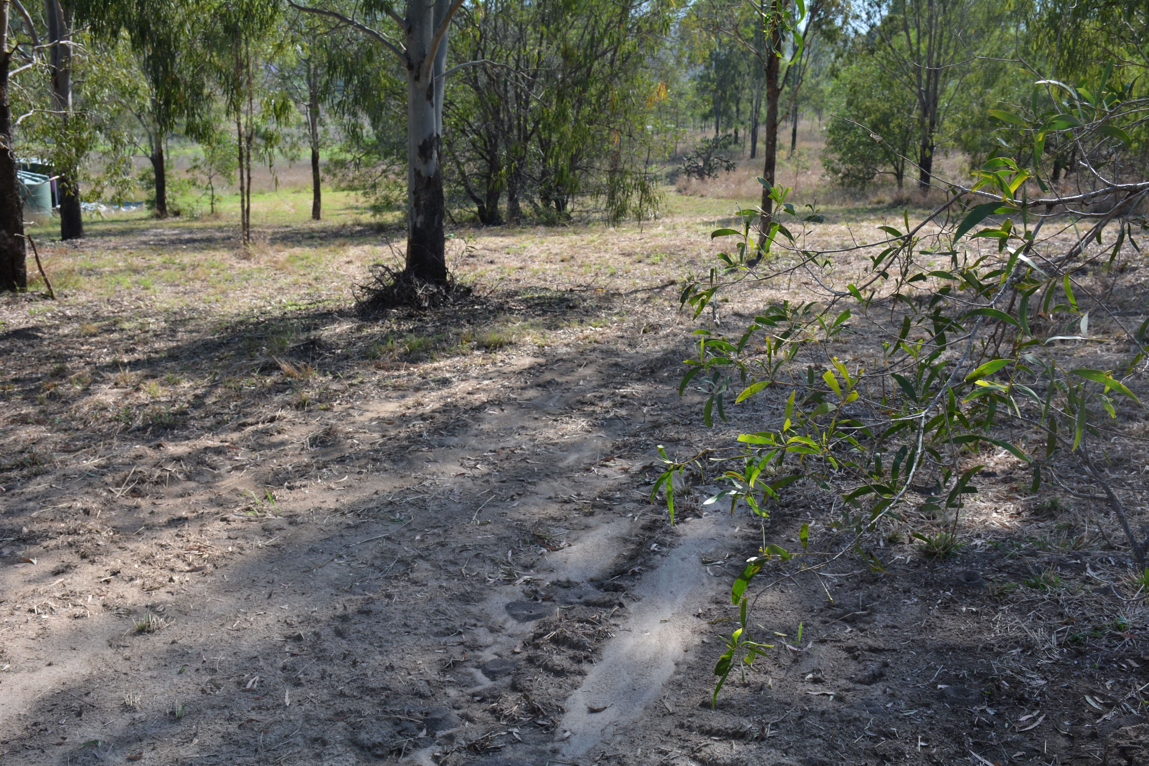 6 Long Street, MOUNT PERRY QLD 4671, Mount Perry - Thumbnail 2
