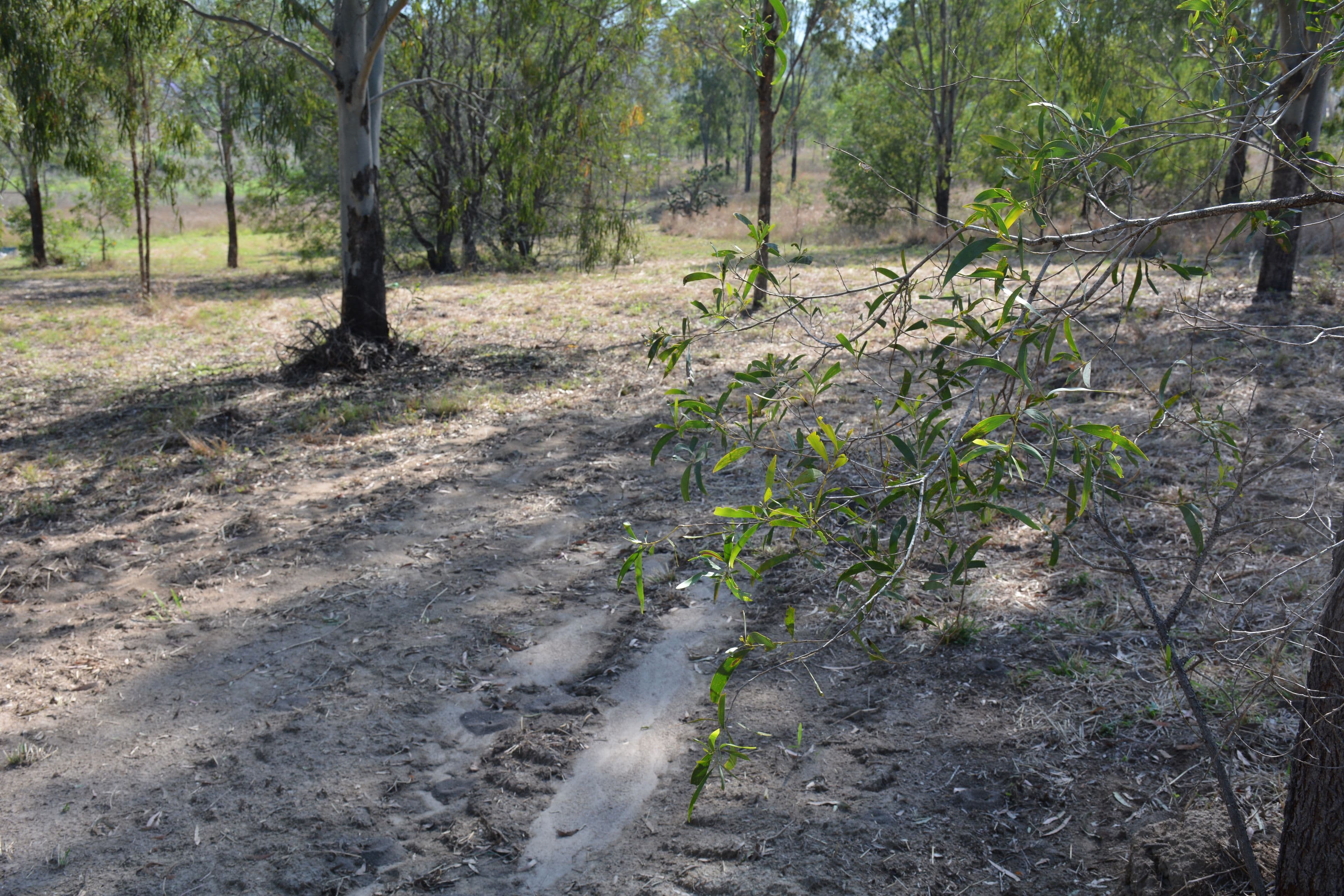 6 Long Street, MOUNT PERRY QLD 4671, Mount Perry - Thumbnail 3