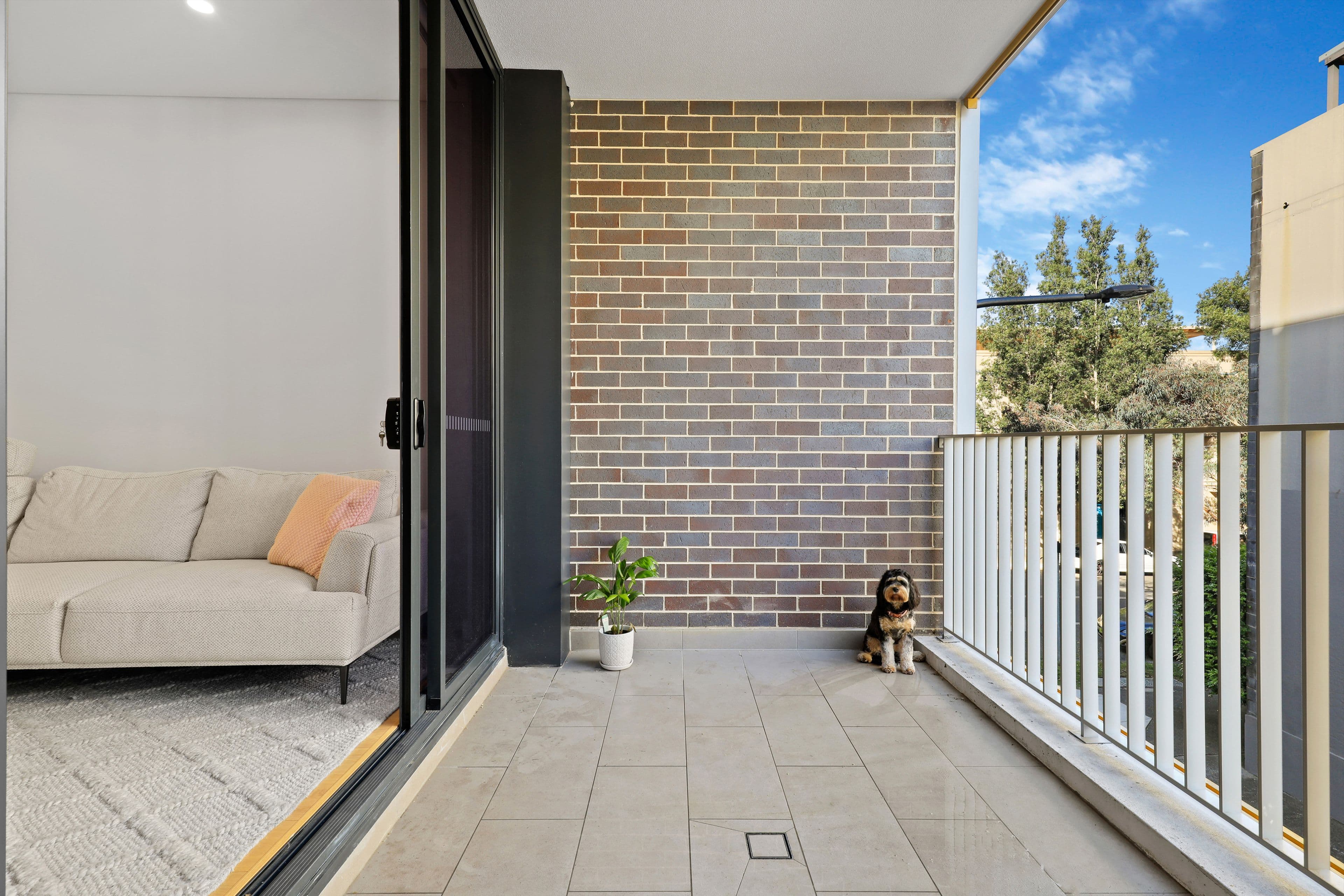71-91 Euston Road, Alexandria NSW 2015, Alexandria - Thumbnail 3