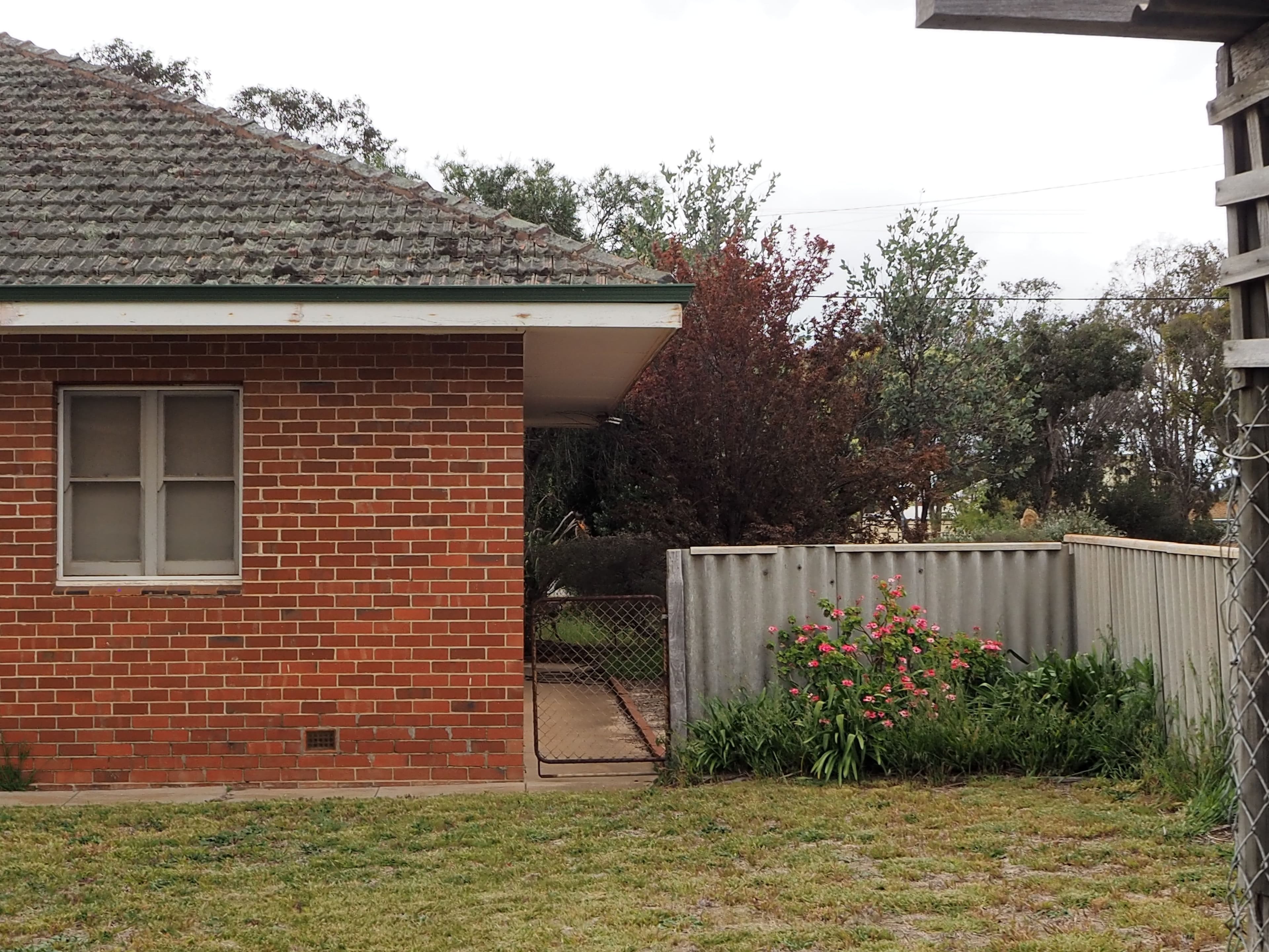27 Garrity Street, Tambellup WA 6320, Tambellup - Thumbnail 5