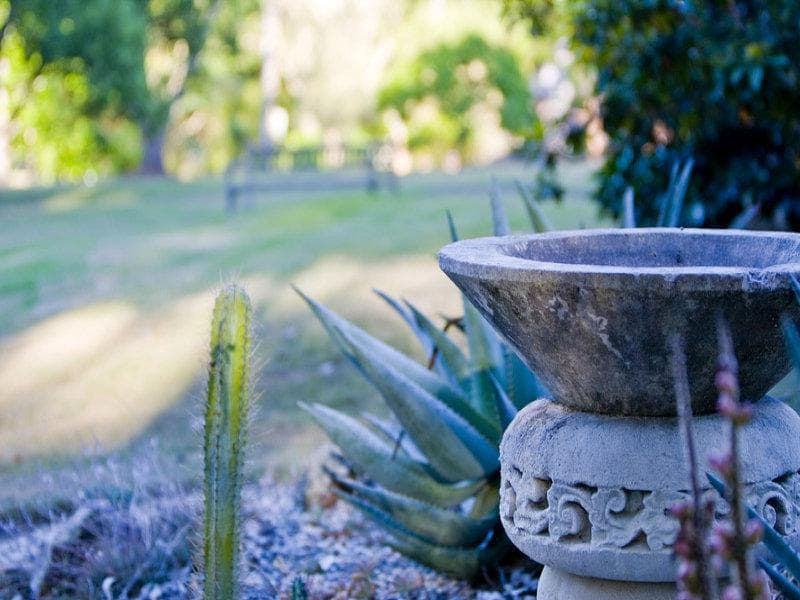 136 Savages Road, Brookfield - Thumbnail 7
